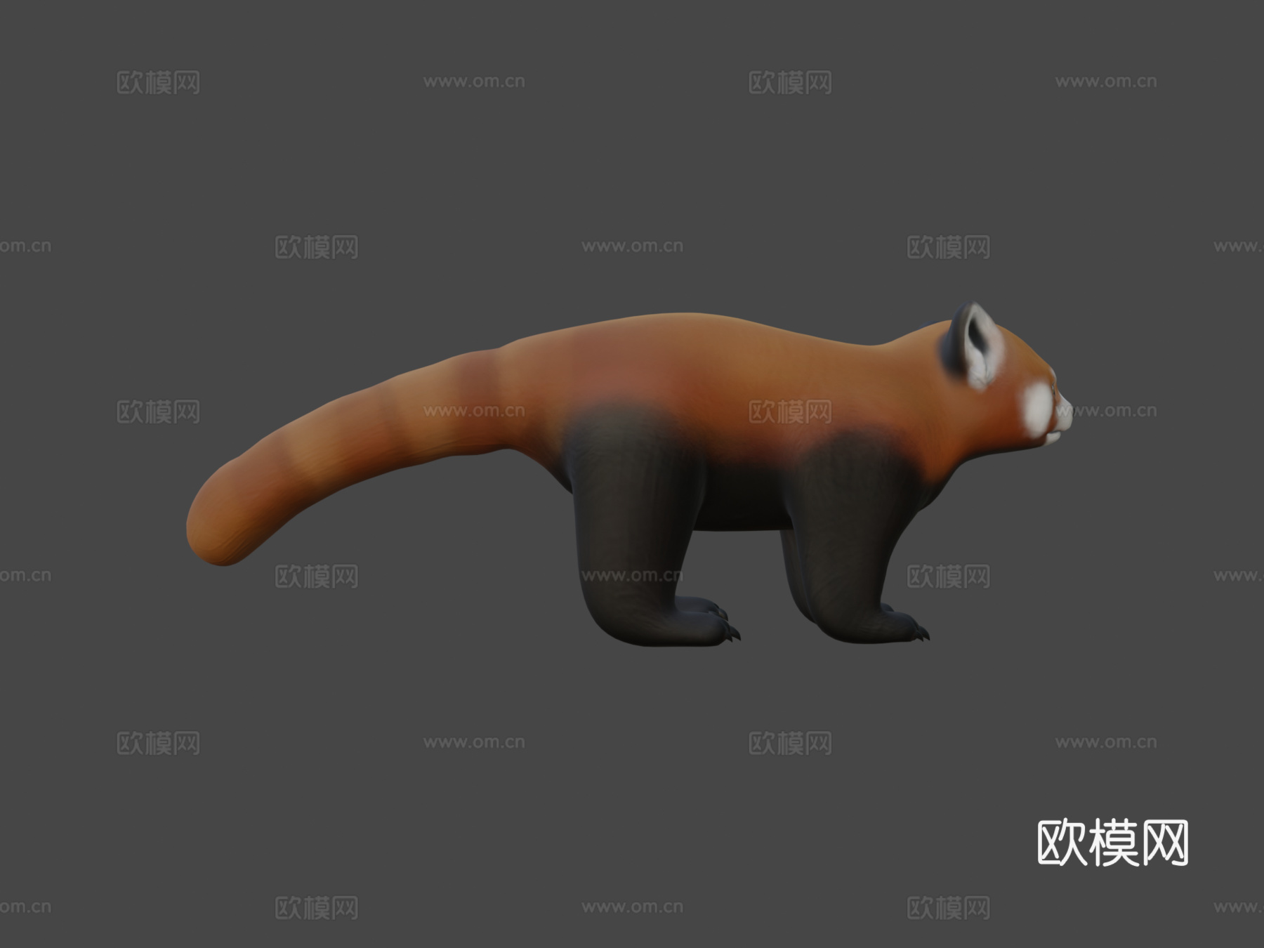 红熊猫-雕刻练习3d模型