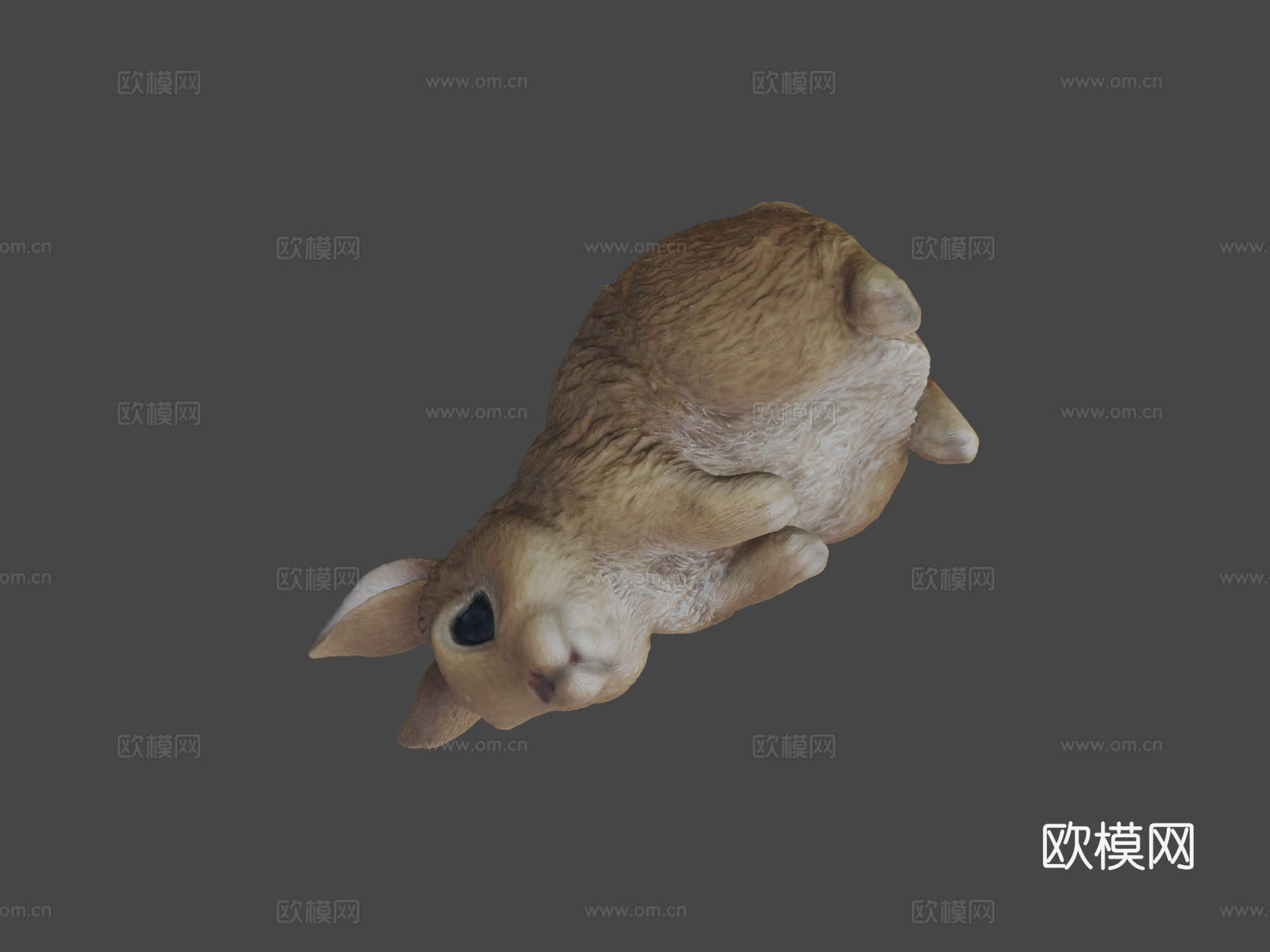兔子!3d模型