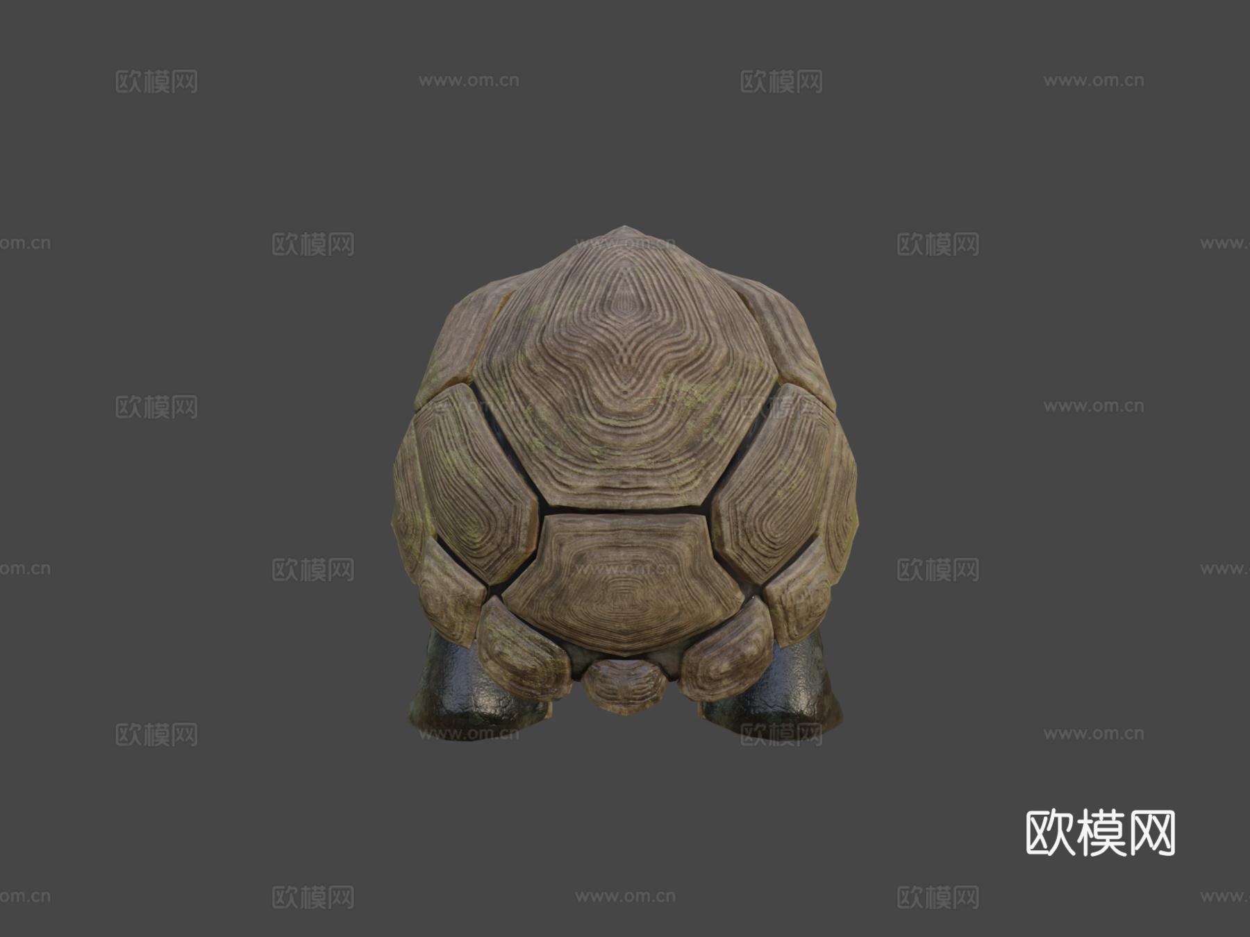 龟型怪兽3d模型