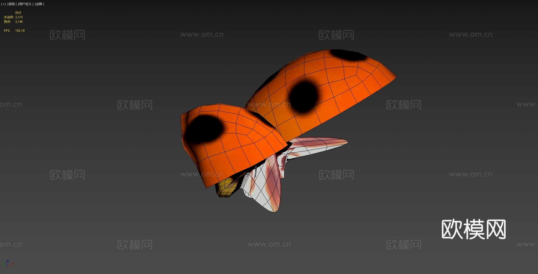 动画瓢虫3d模型