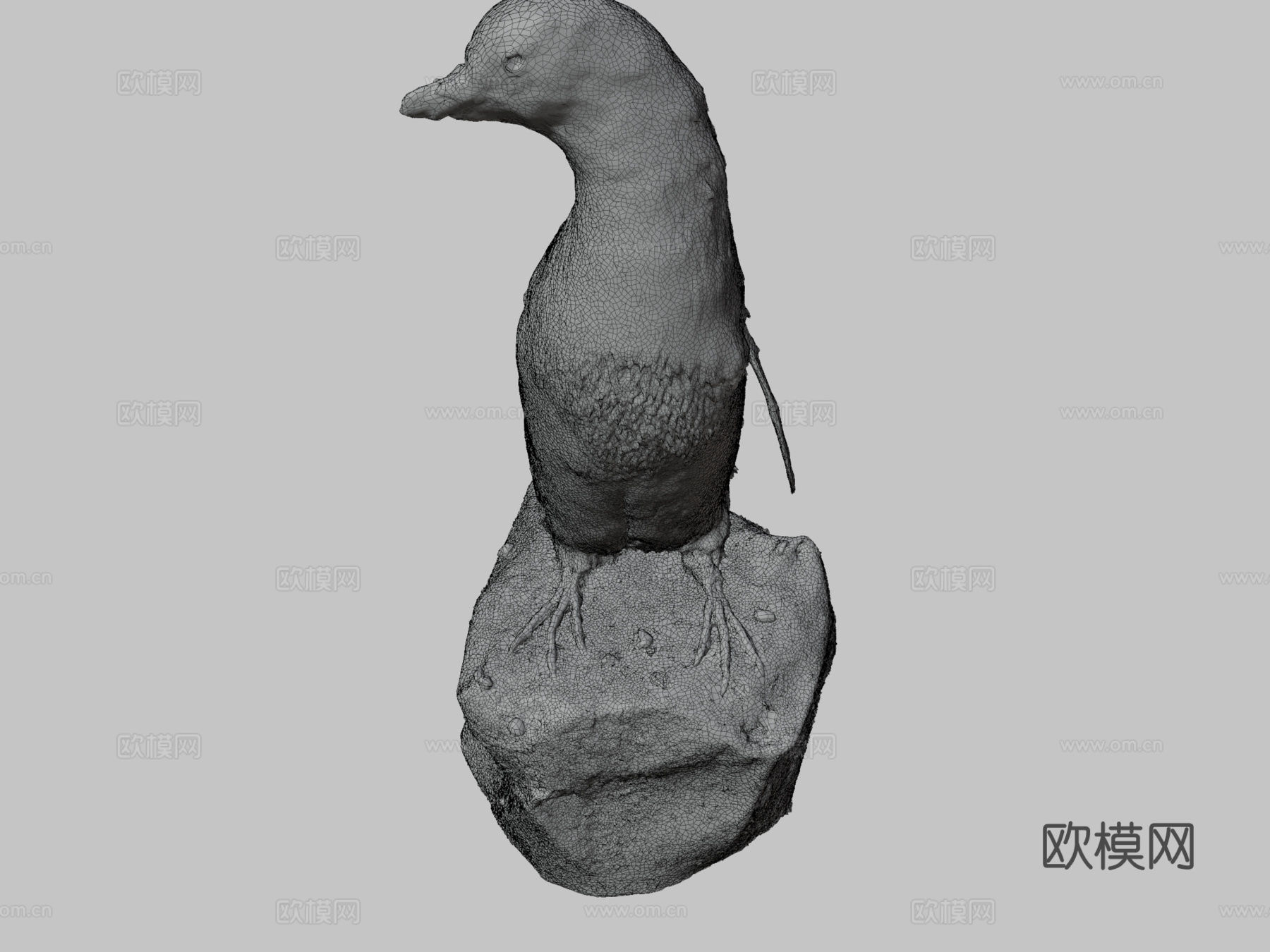 阿德利企鹅3d模型