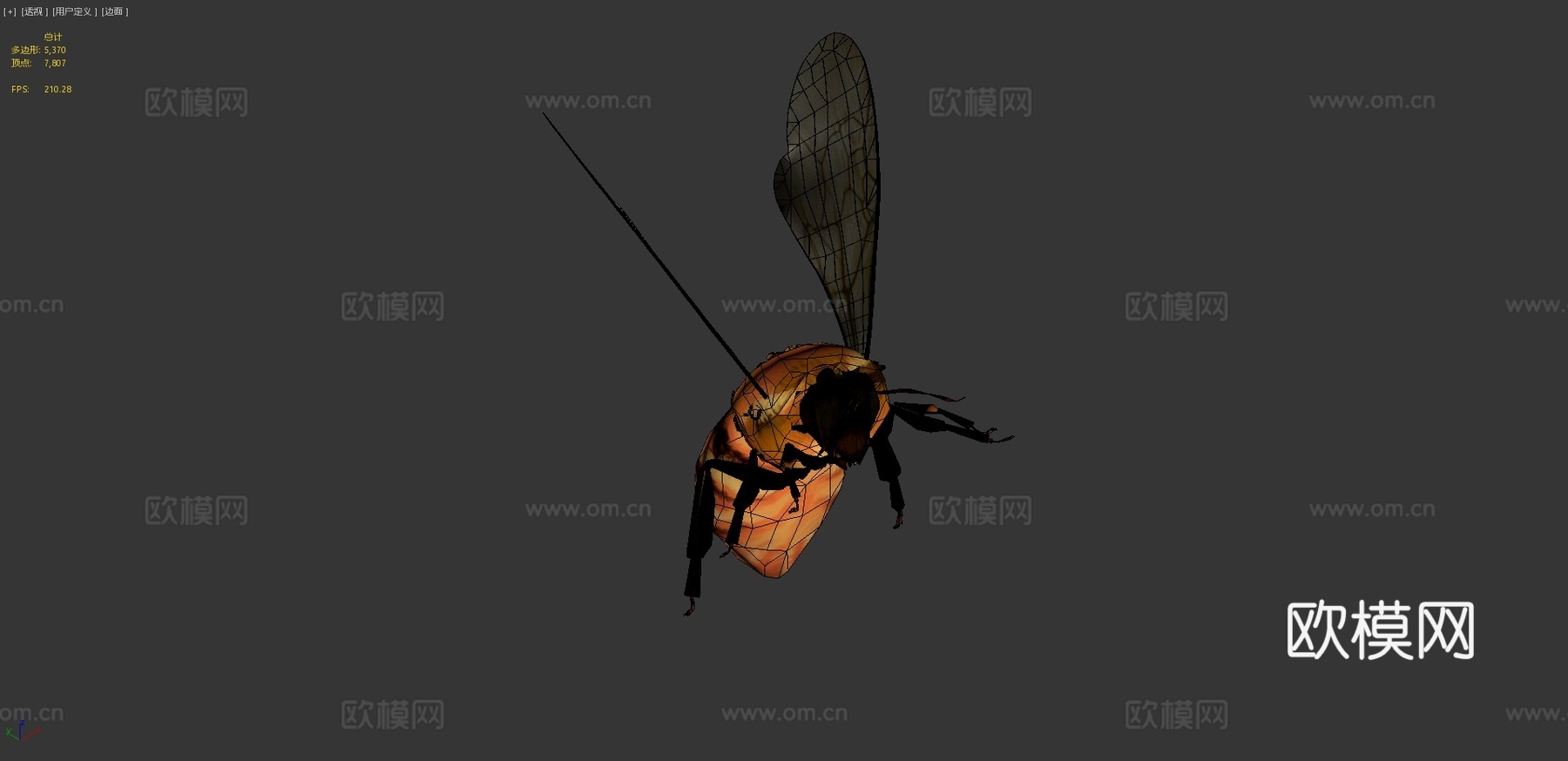 达尔博姆熊蜂3d模型