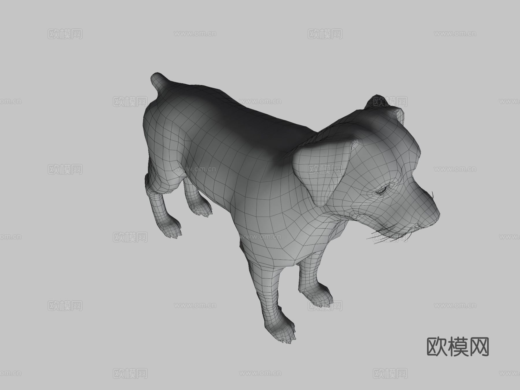狗-罗威纳犬3d模型