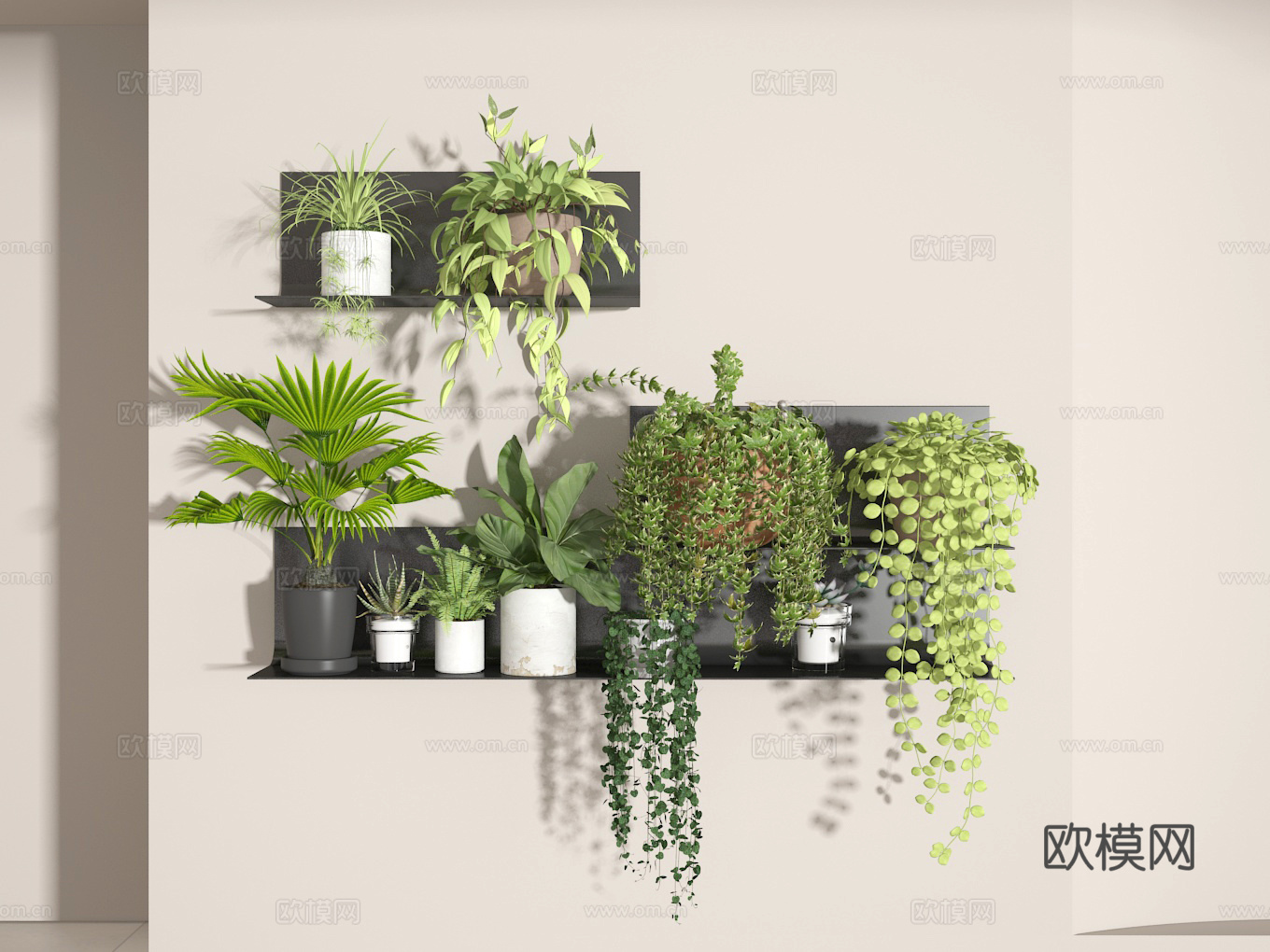 植物3d模型