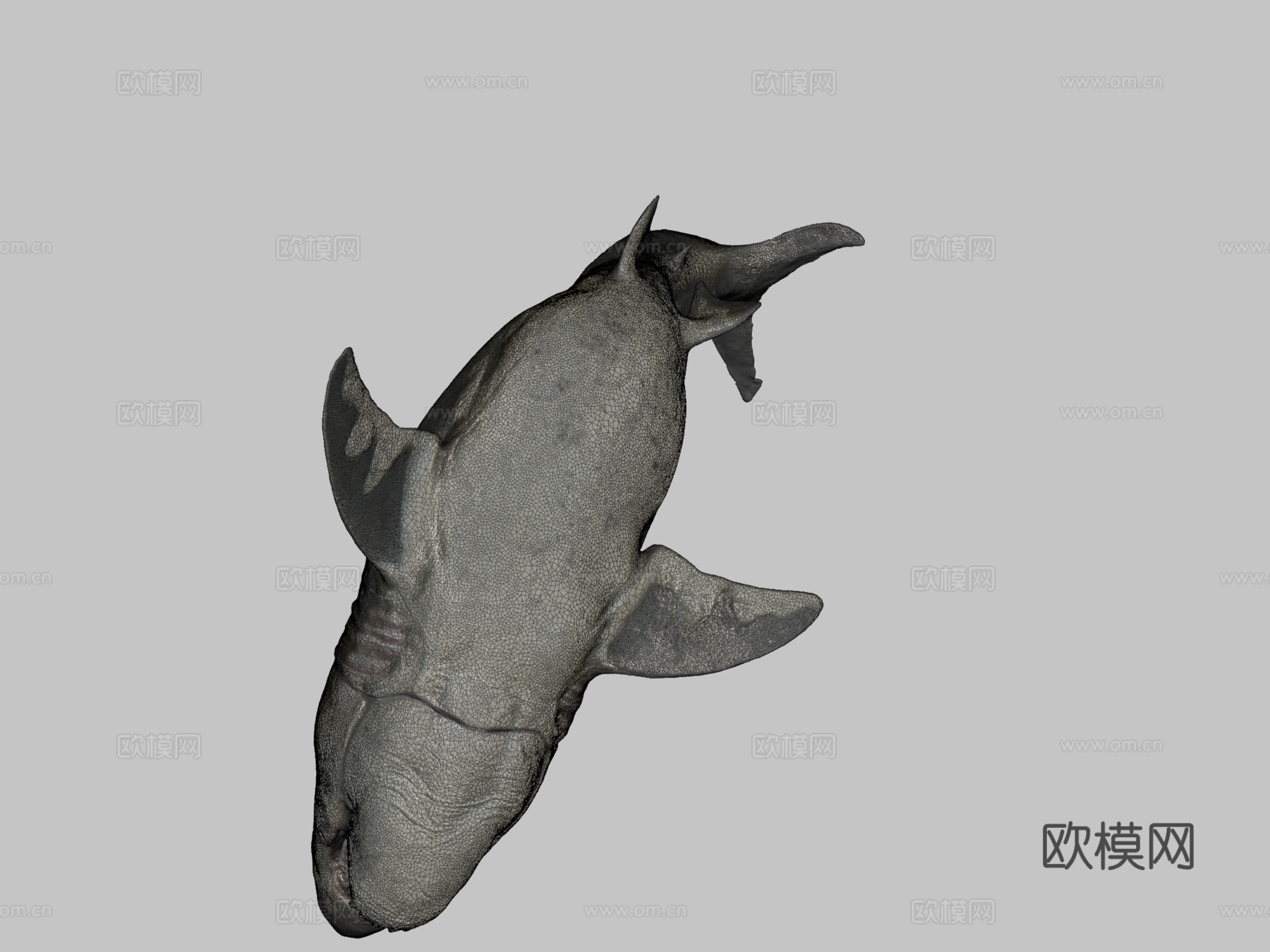 巨齿鲨3d模型