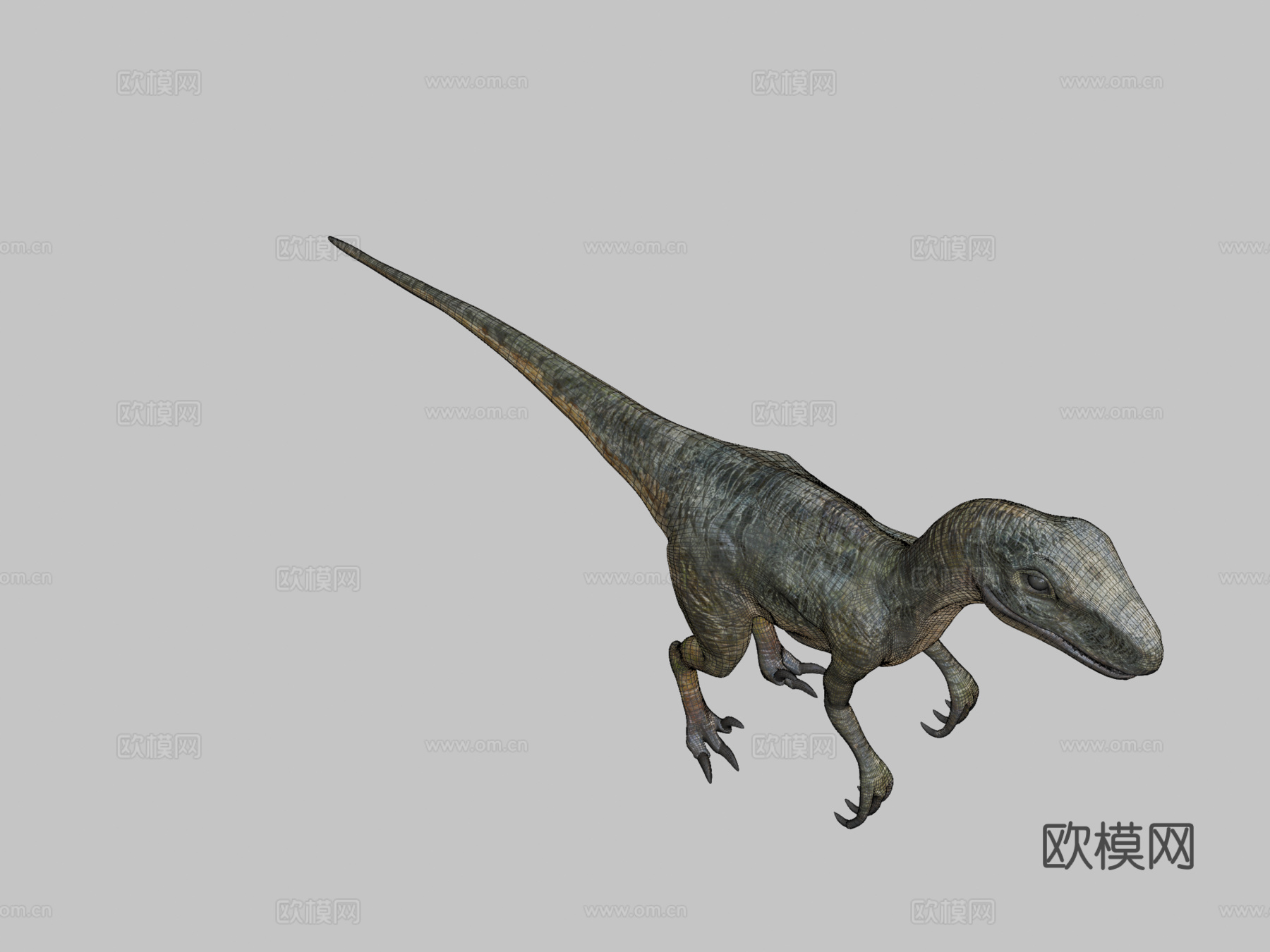 迅猛龙绑定3D模型3d模型