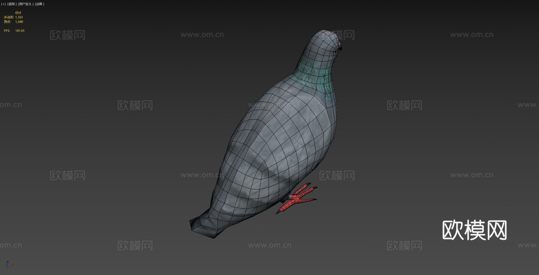 鸽子-3D模型-3d模型
