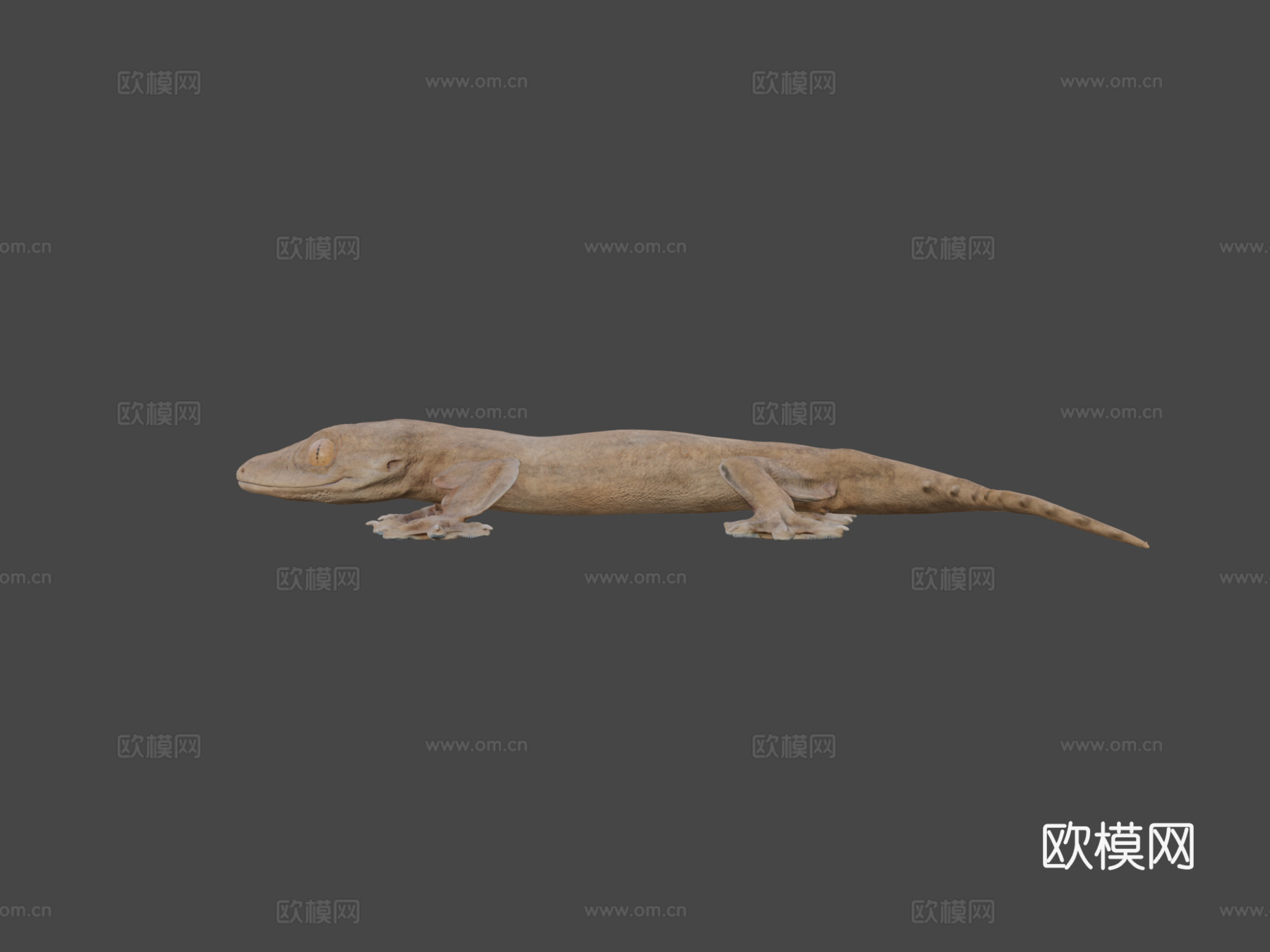 模型78A-卢珀龙3d模型