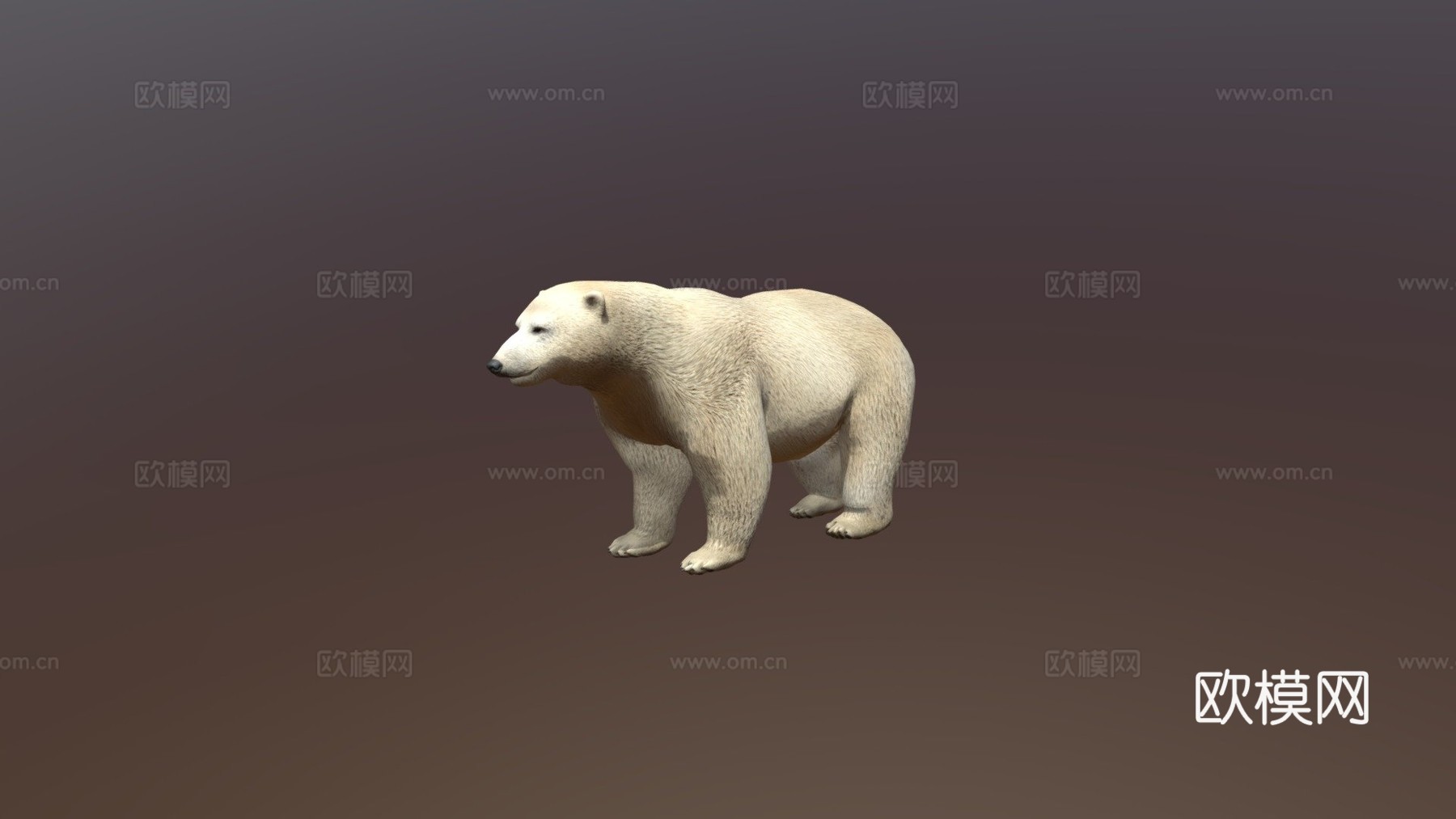 北极熊3d模型