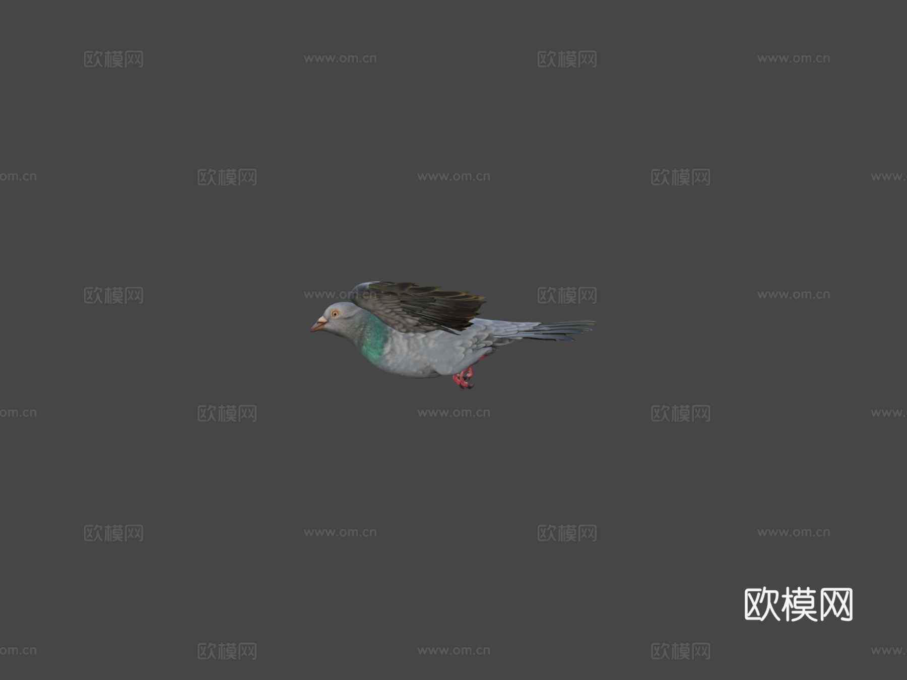 鸽子飞翔3d模型