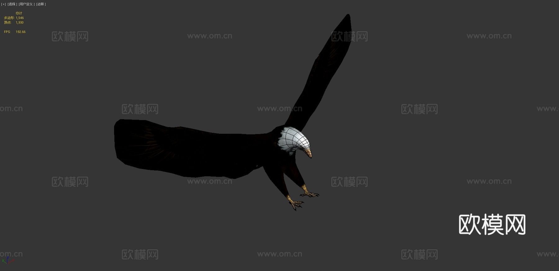 白头鹰3d模型