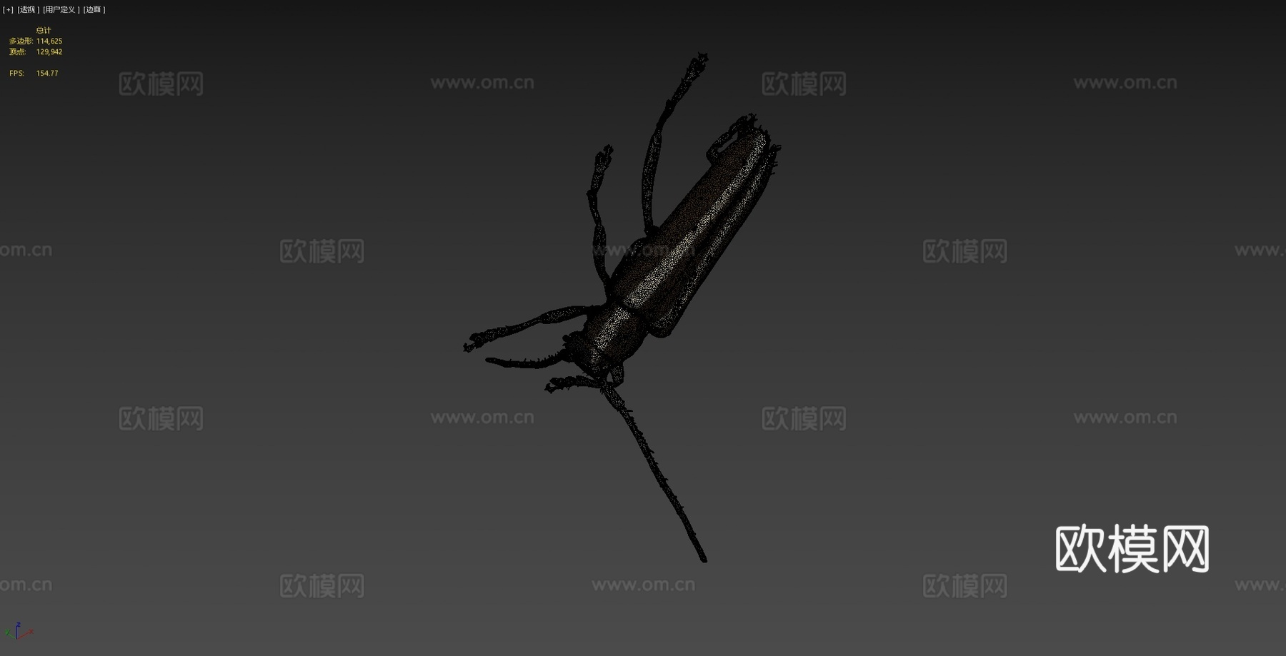 白蜡天牛(自然历史数字档案(DiNArDa))3d模型