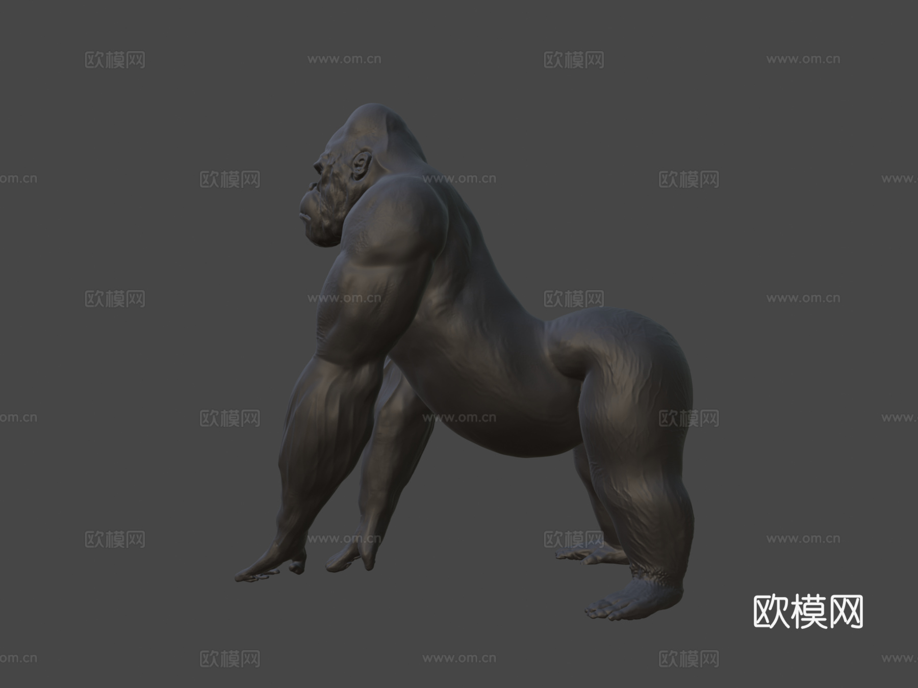 大猩猩金刚3d模型