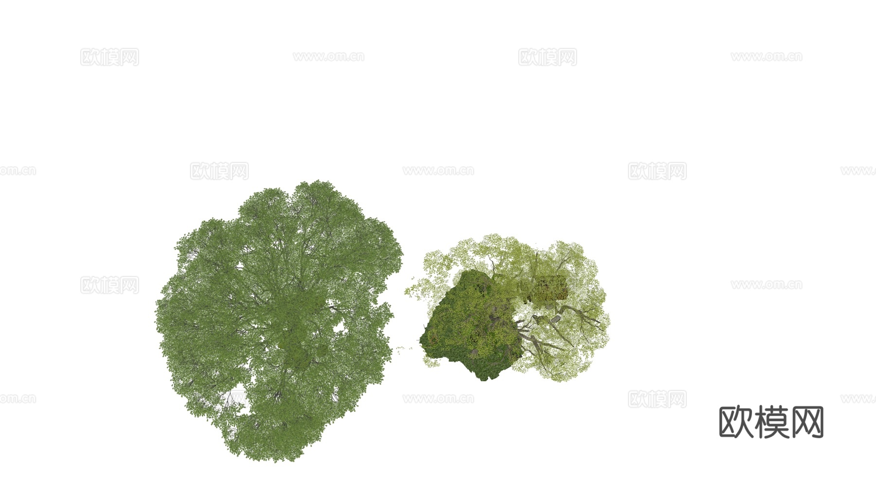 乔木 古树大树乔木 公园大型景观树 榕树景观树 参天大树许su模型
