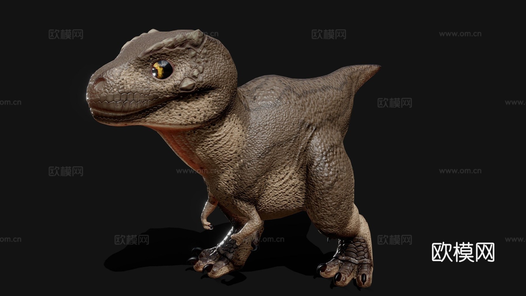 小霸王龙3d模型