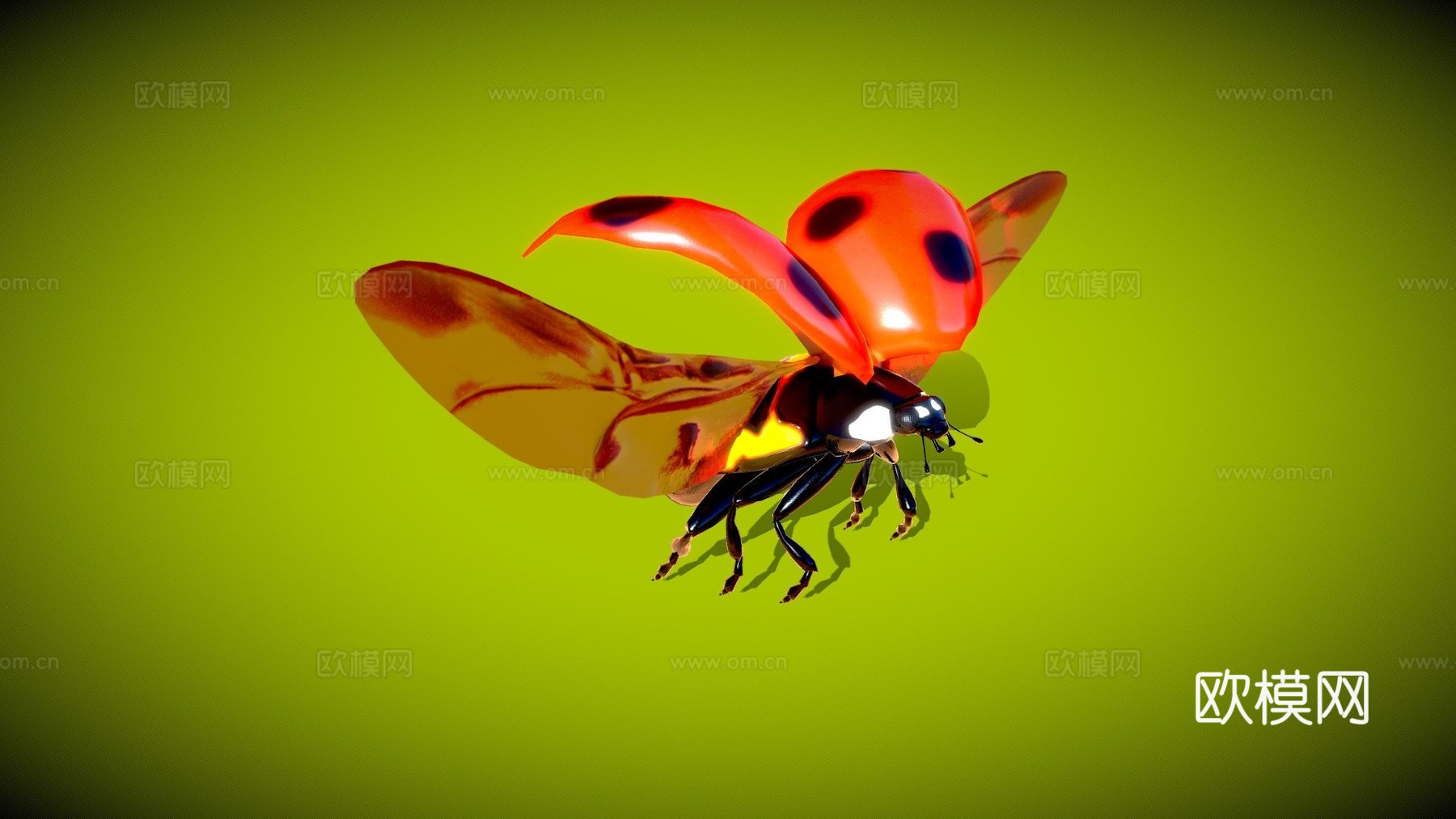 动画瓢虫3d模型
