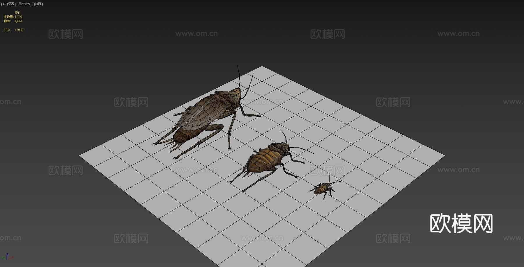 辐射再造-辐射蟑螂生命周期3d模型