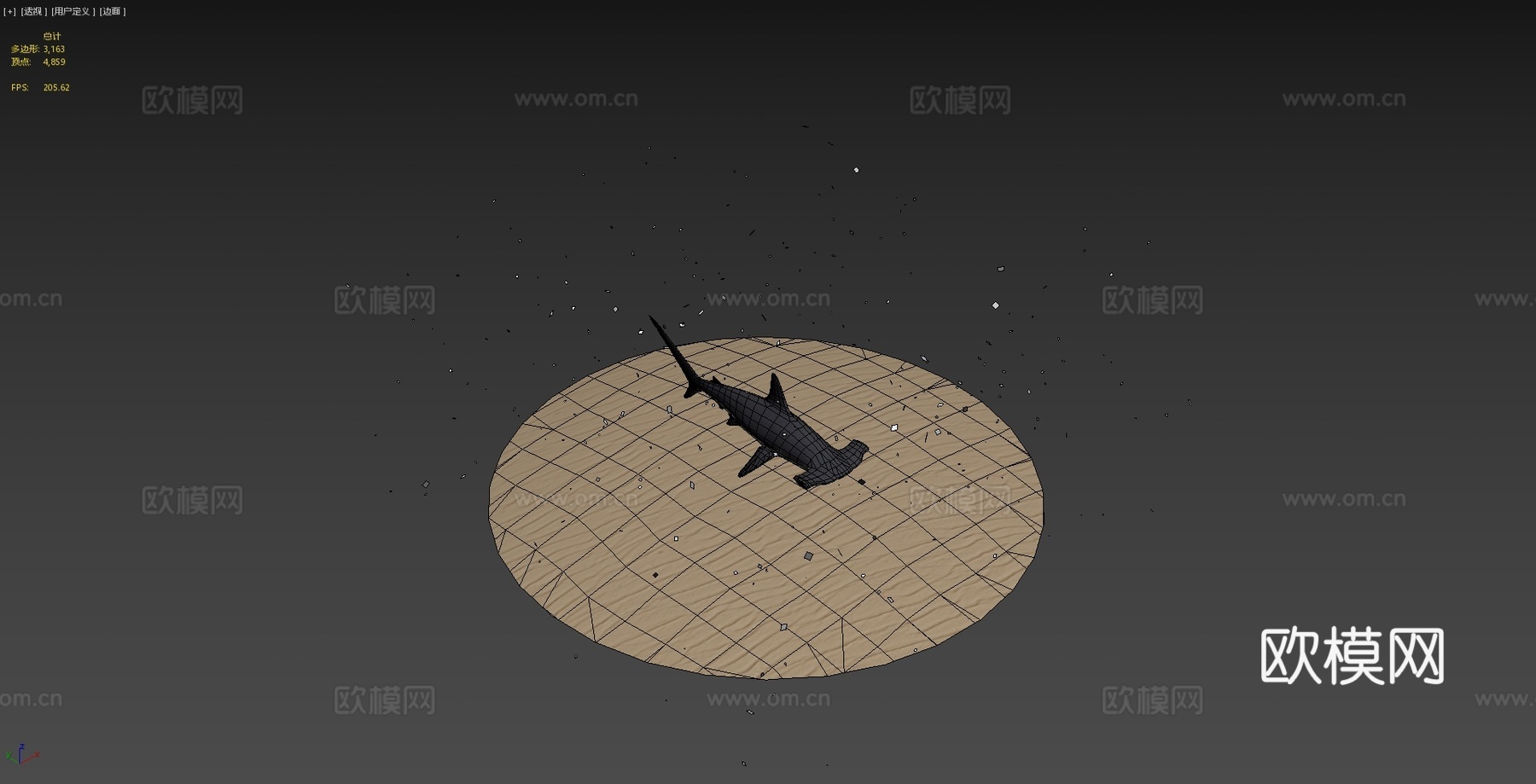 大锤头鲨3d模型