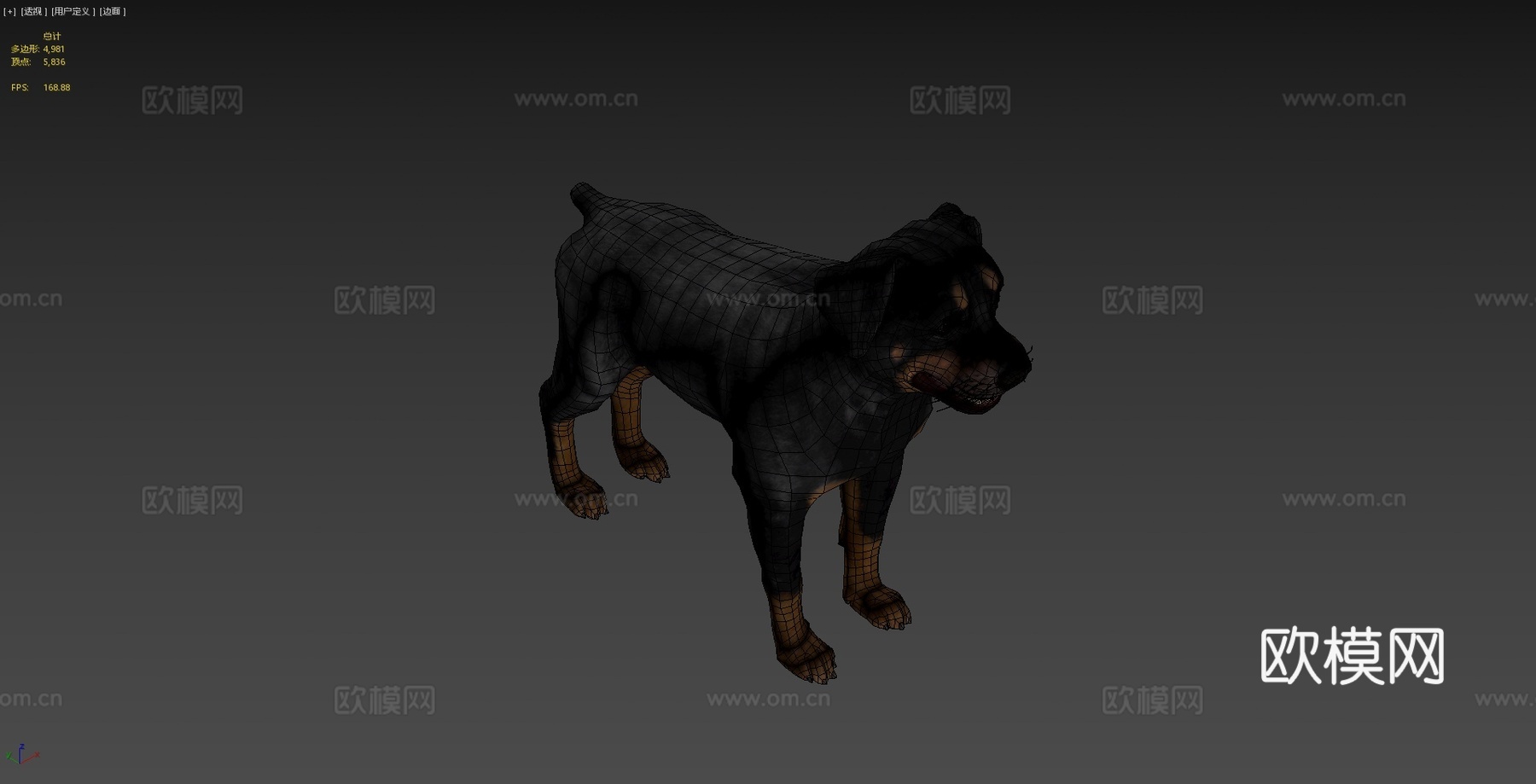 狗-罗威纳犬3d模型