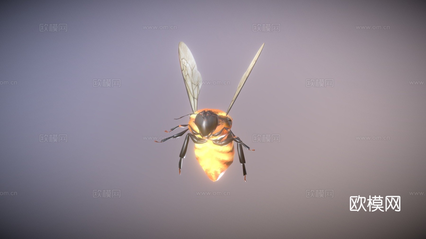 达尔博姆熊蜂3d模型