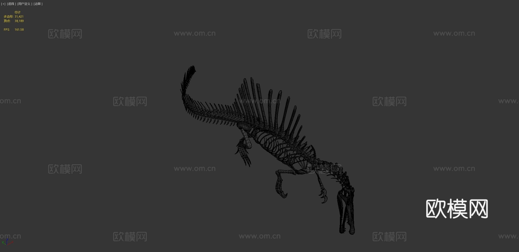 棘龙骨架3d模型