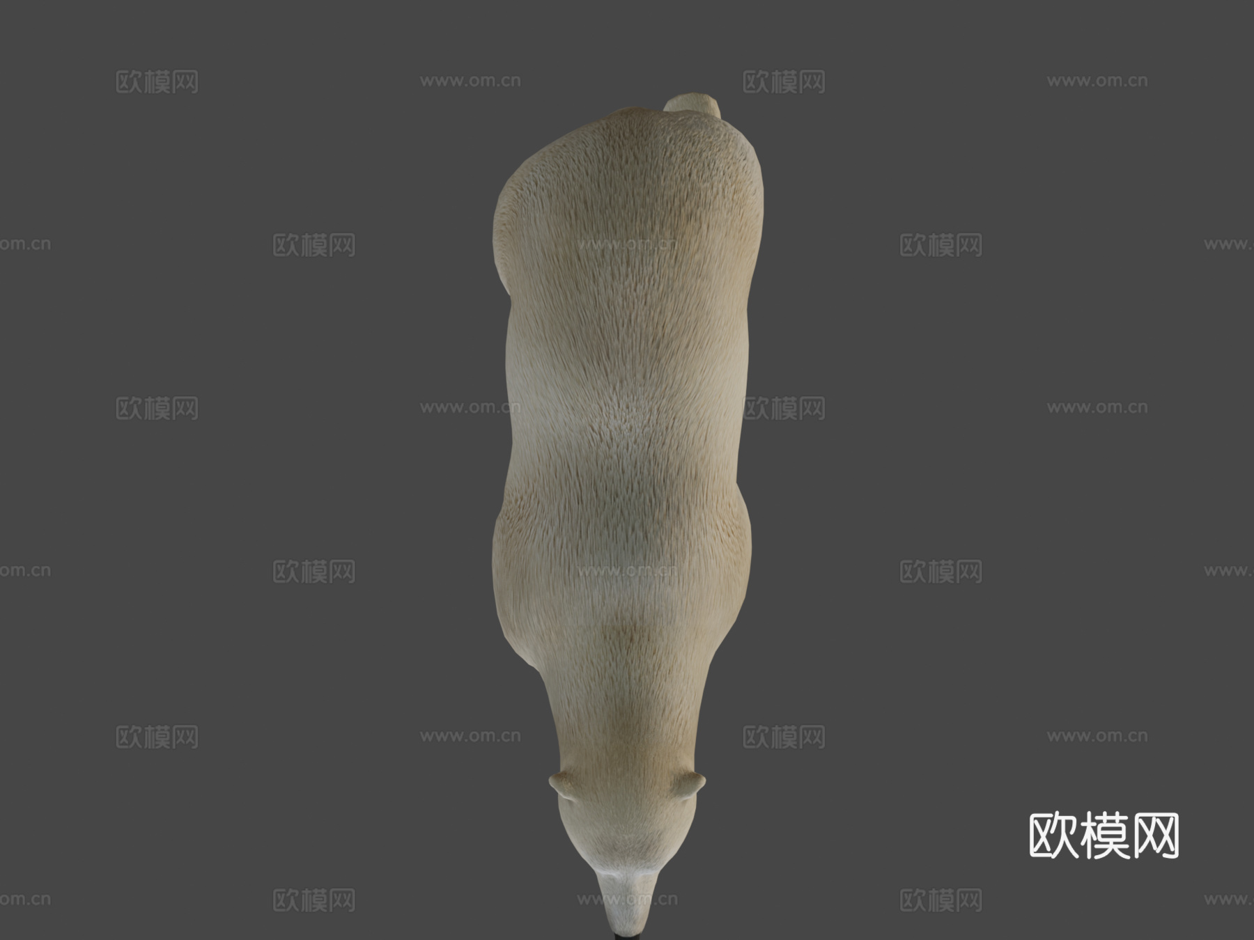 北极熊3d模型