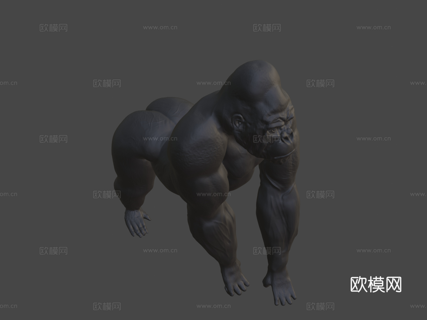 大猩猩金刚3d模型
