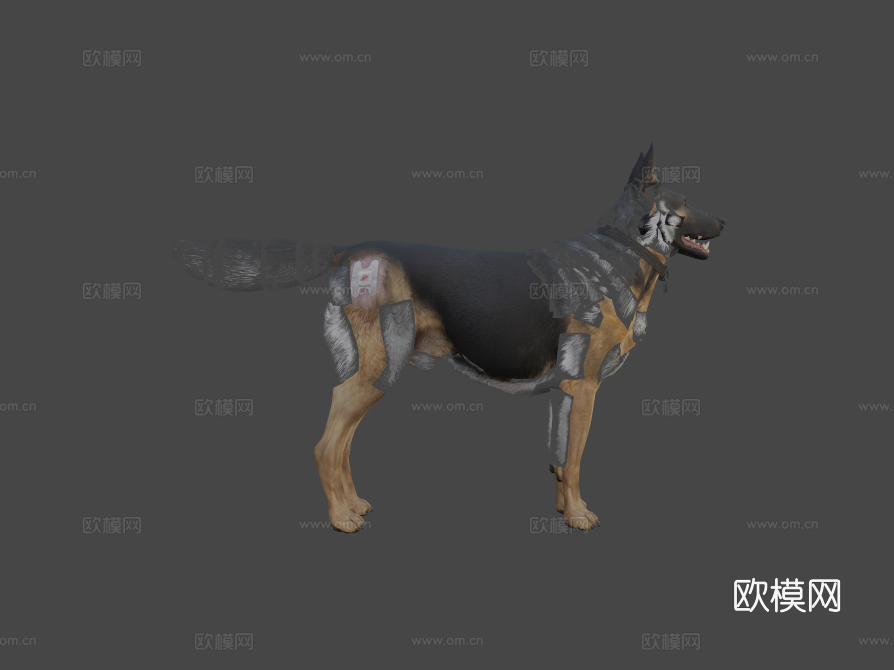 莱利3d模型