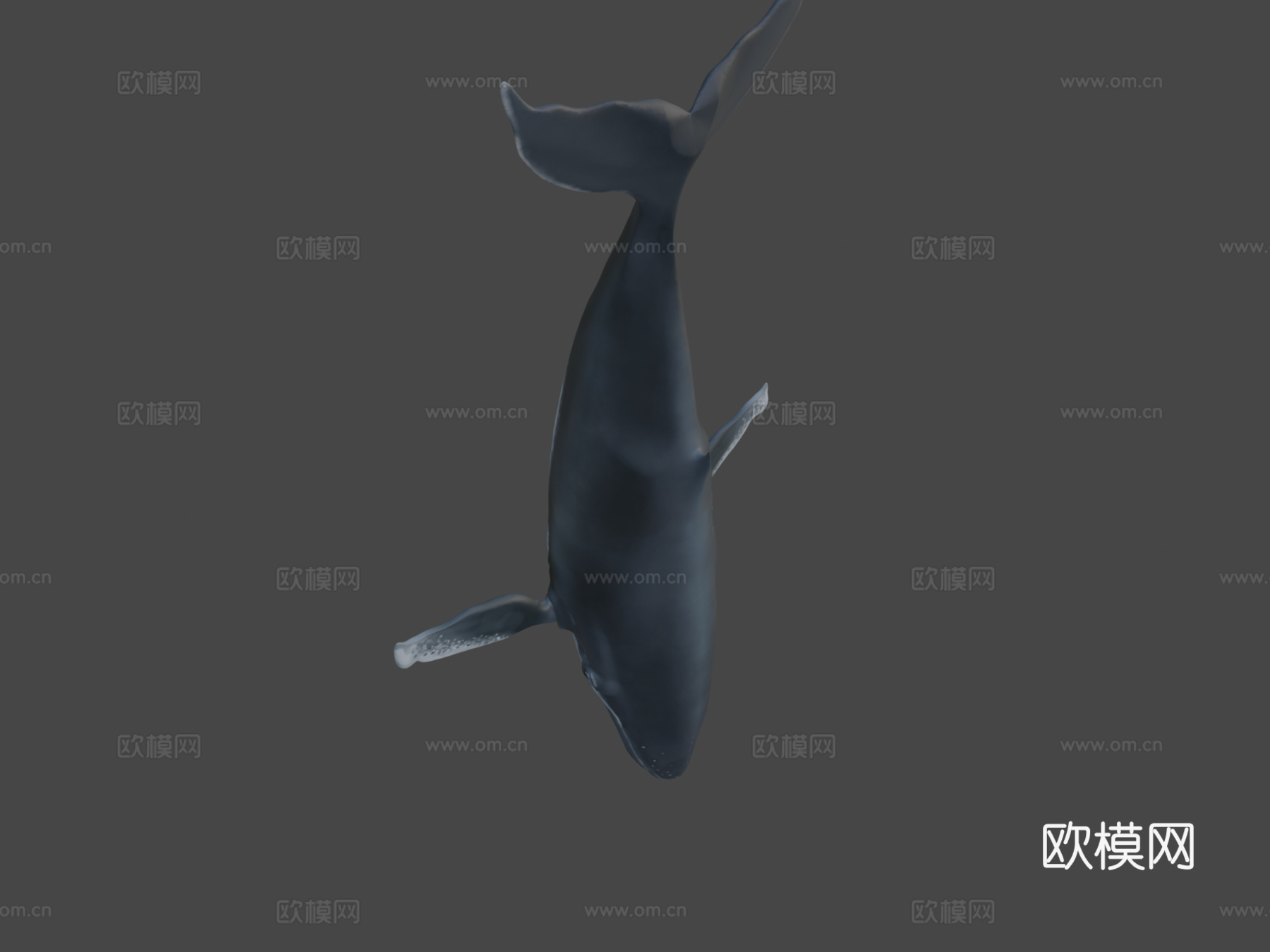 雕刻鲸鱼3d模型