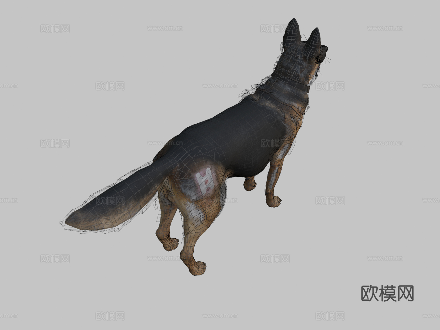 莱利3d模型