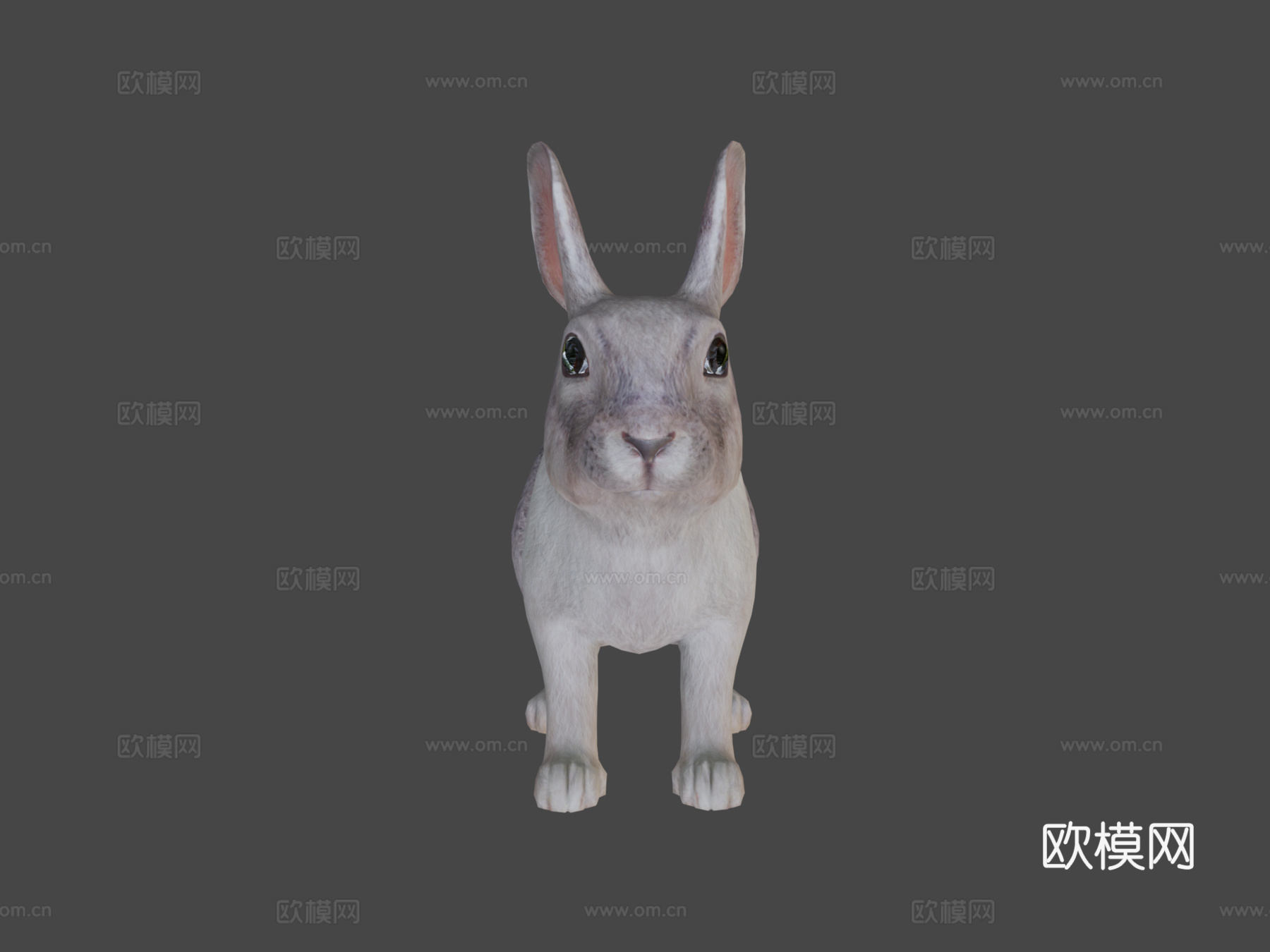 兔子动画3d模型