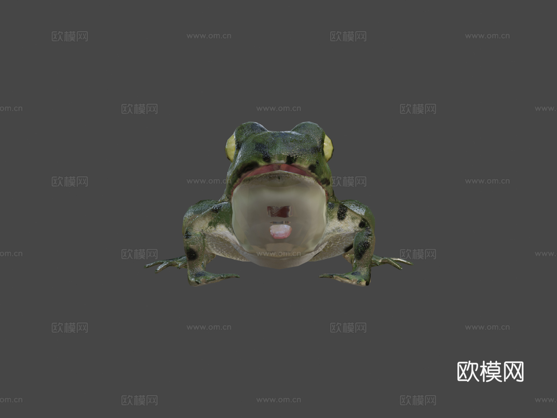 青蛙3d模型