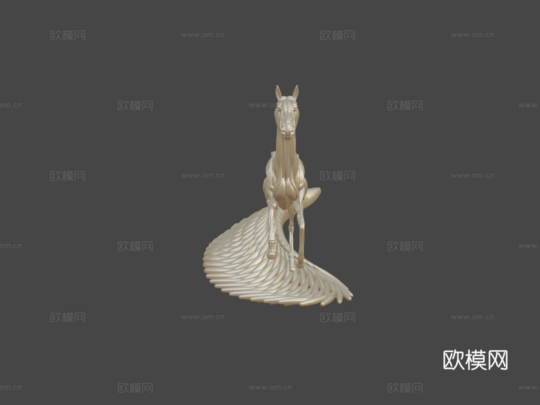 奔跑马解剖3d模型