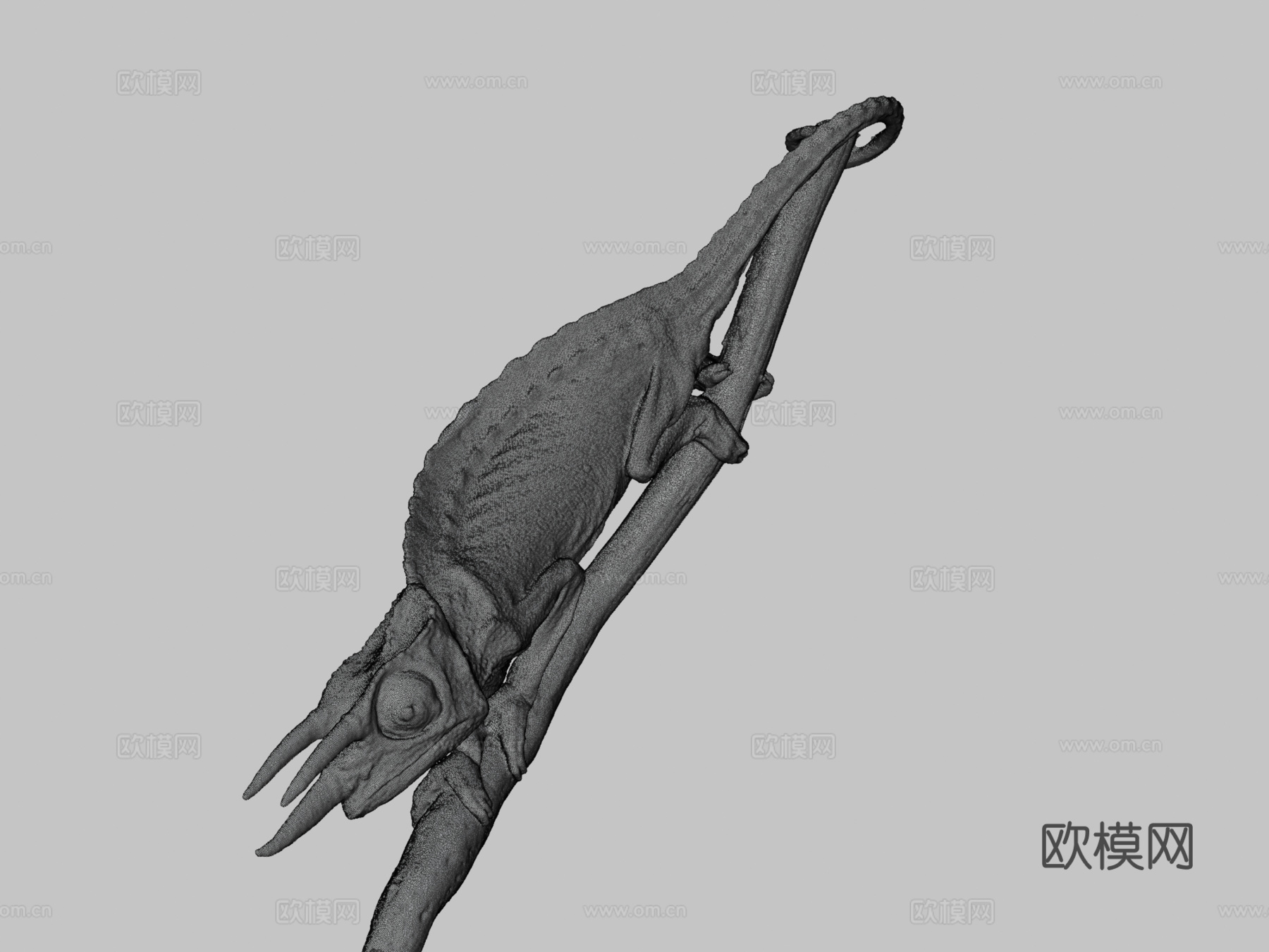 杰克逊变色龙3d模型