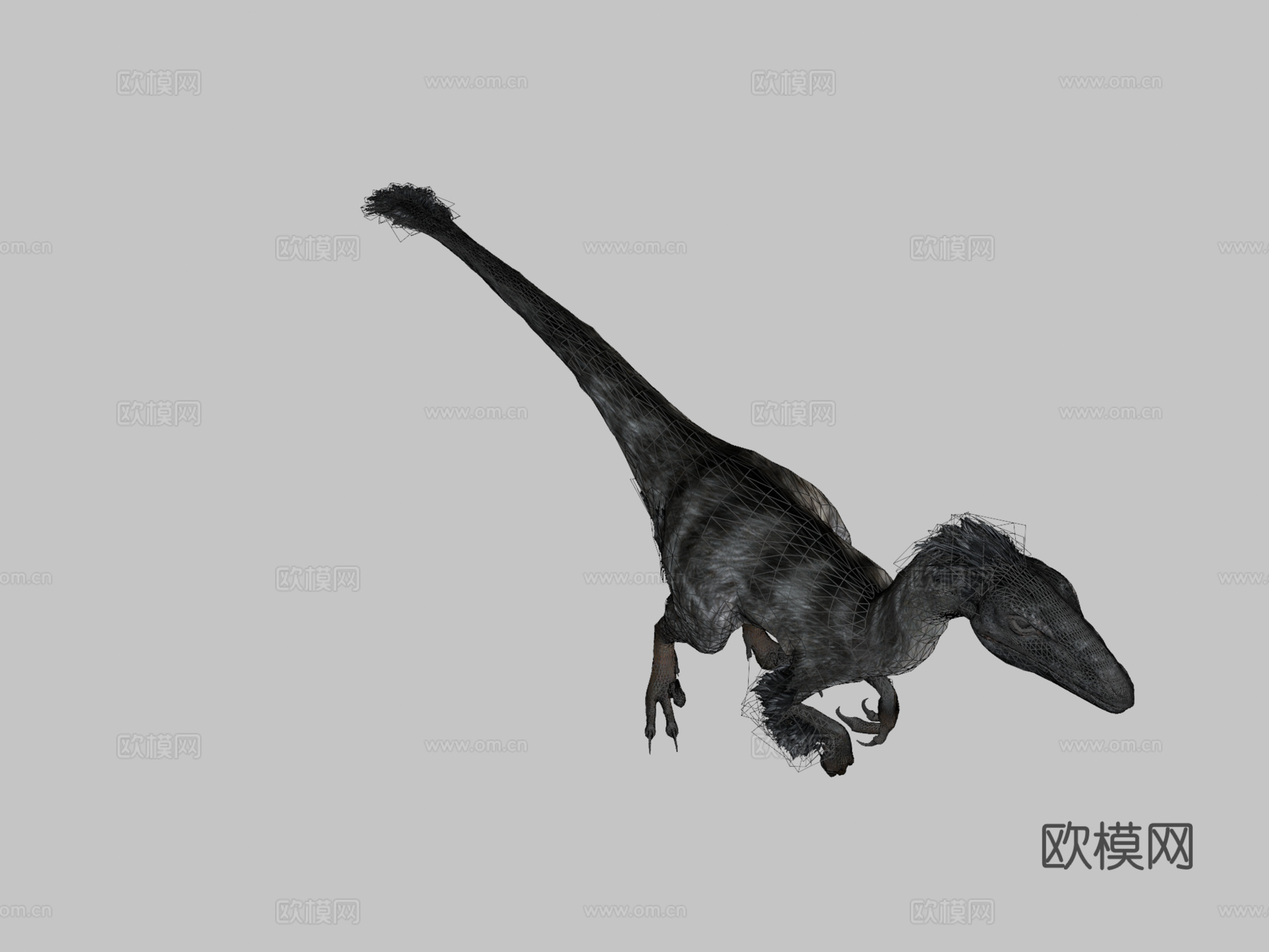 迅猛龙121动画-恐龙动画集3d模型