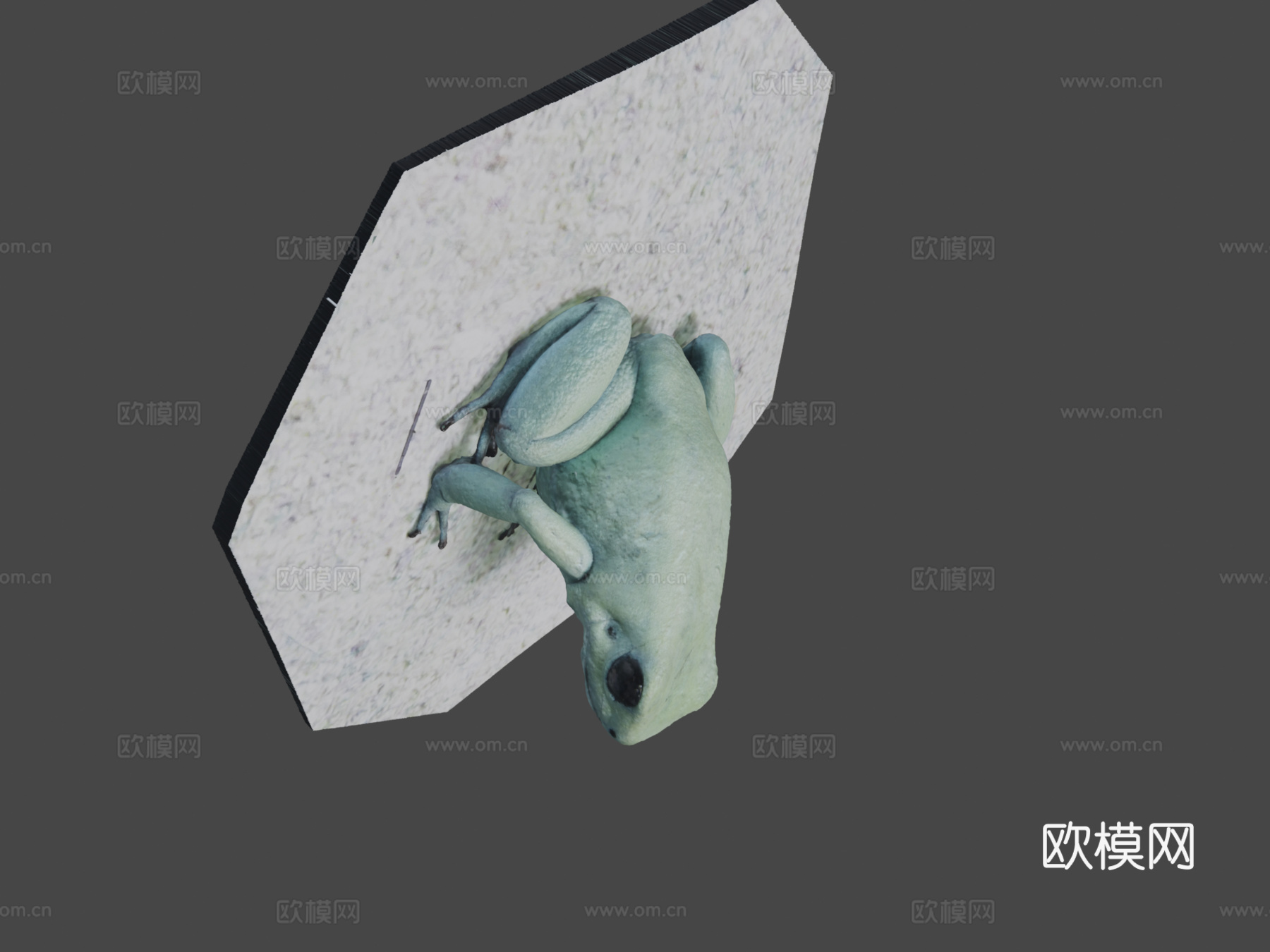 模型41-金色箭毒蛙，薄荷变种3d模型
