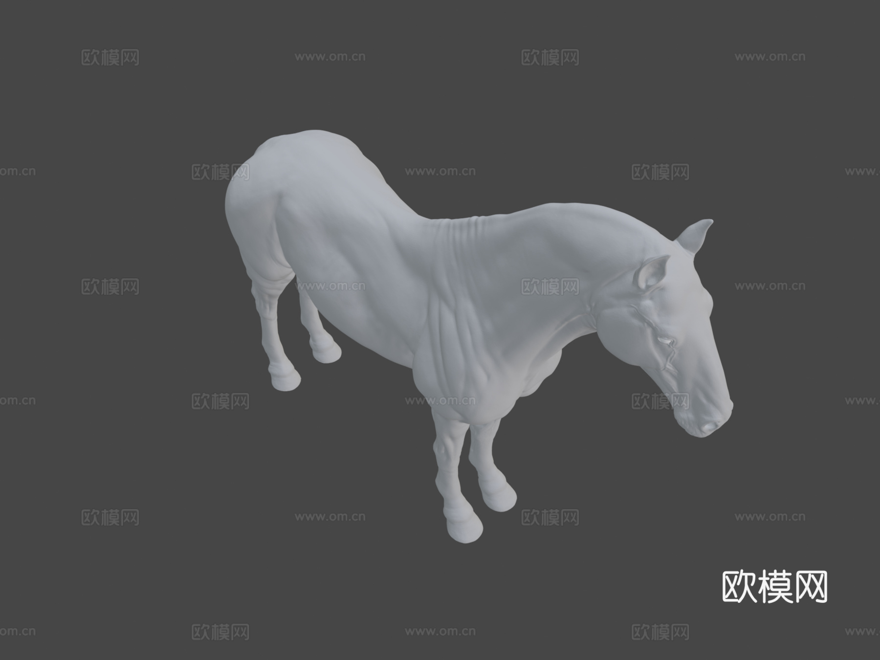 马解剖皮肤高多边形模型3d模型
