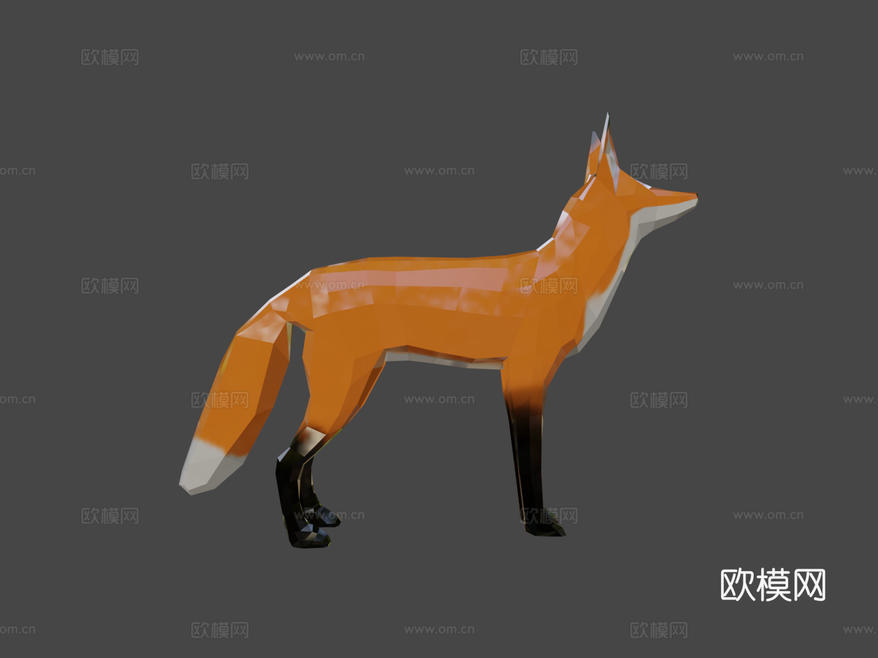 狐狸3d模型