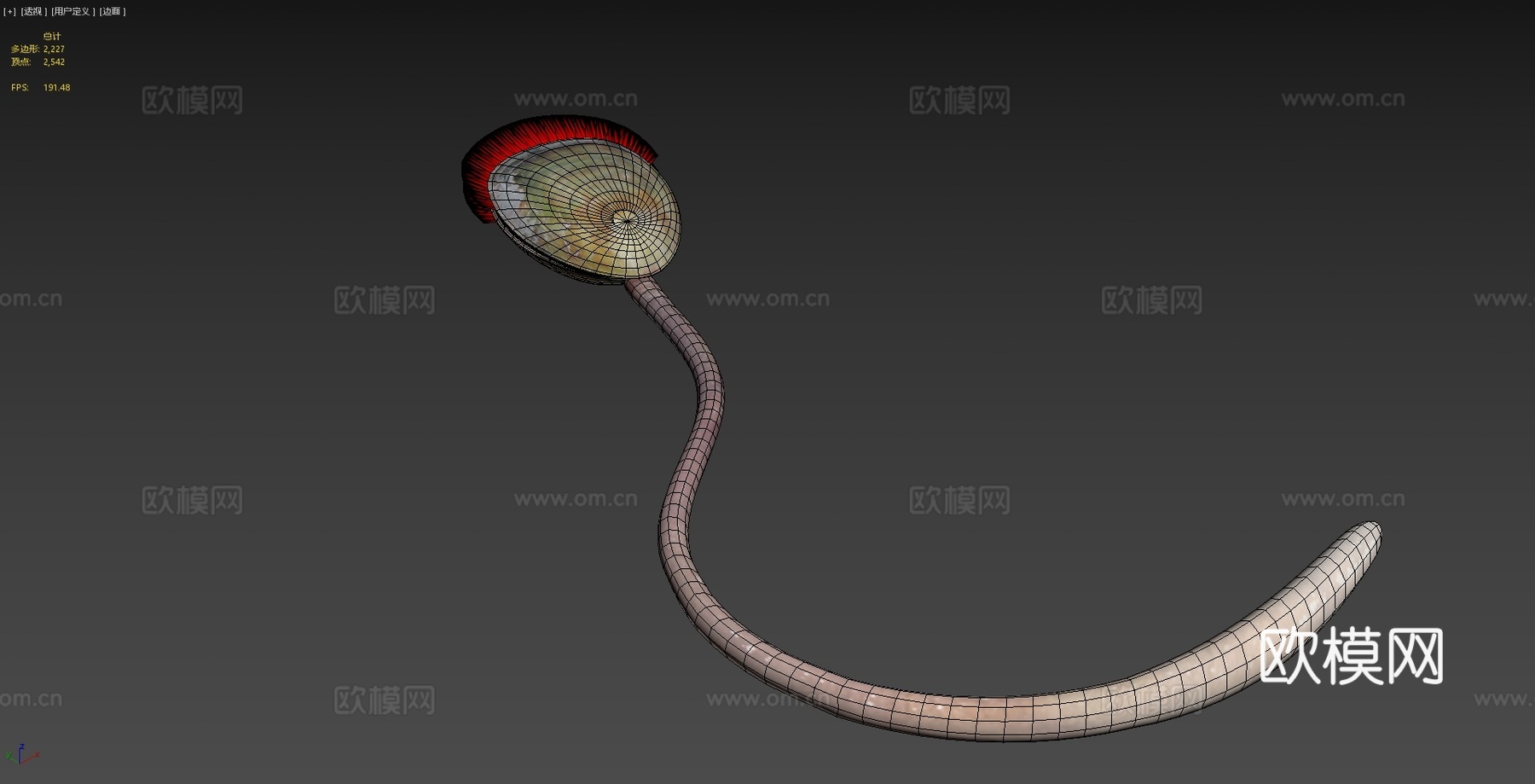 澄江舌形贝3d模型