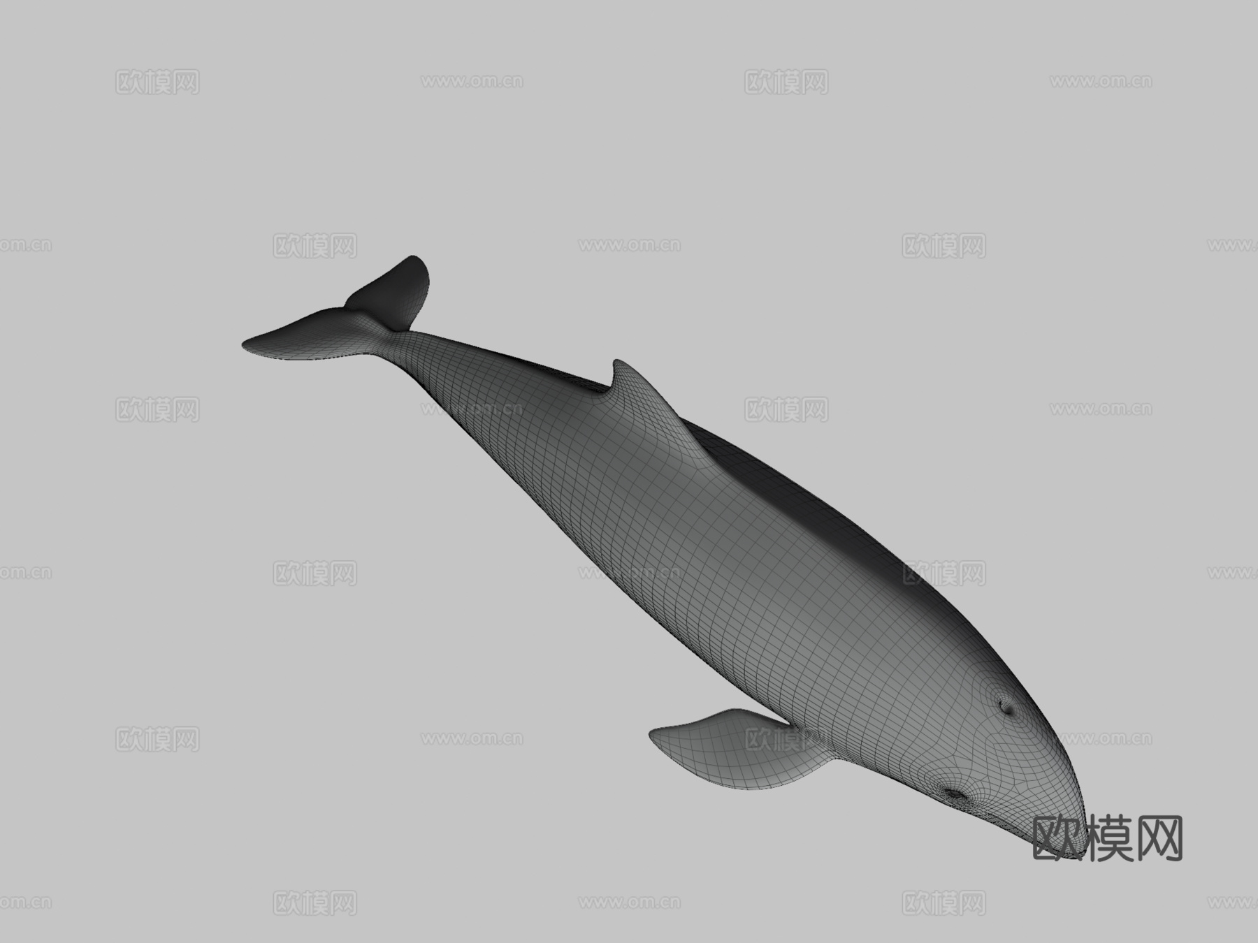 尼斯(港湾鼠海豚)-港湾鼠海豚3d模型