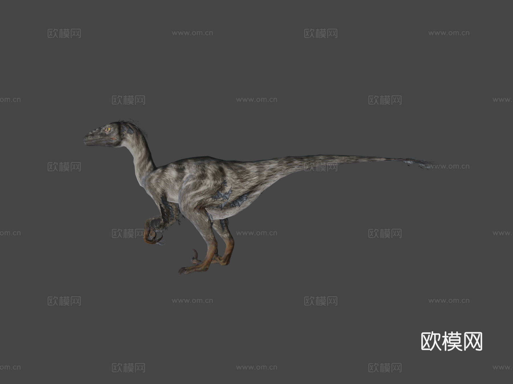 迅猛龙121动画-恐龙动画集3d模型