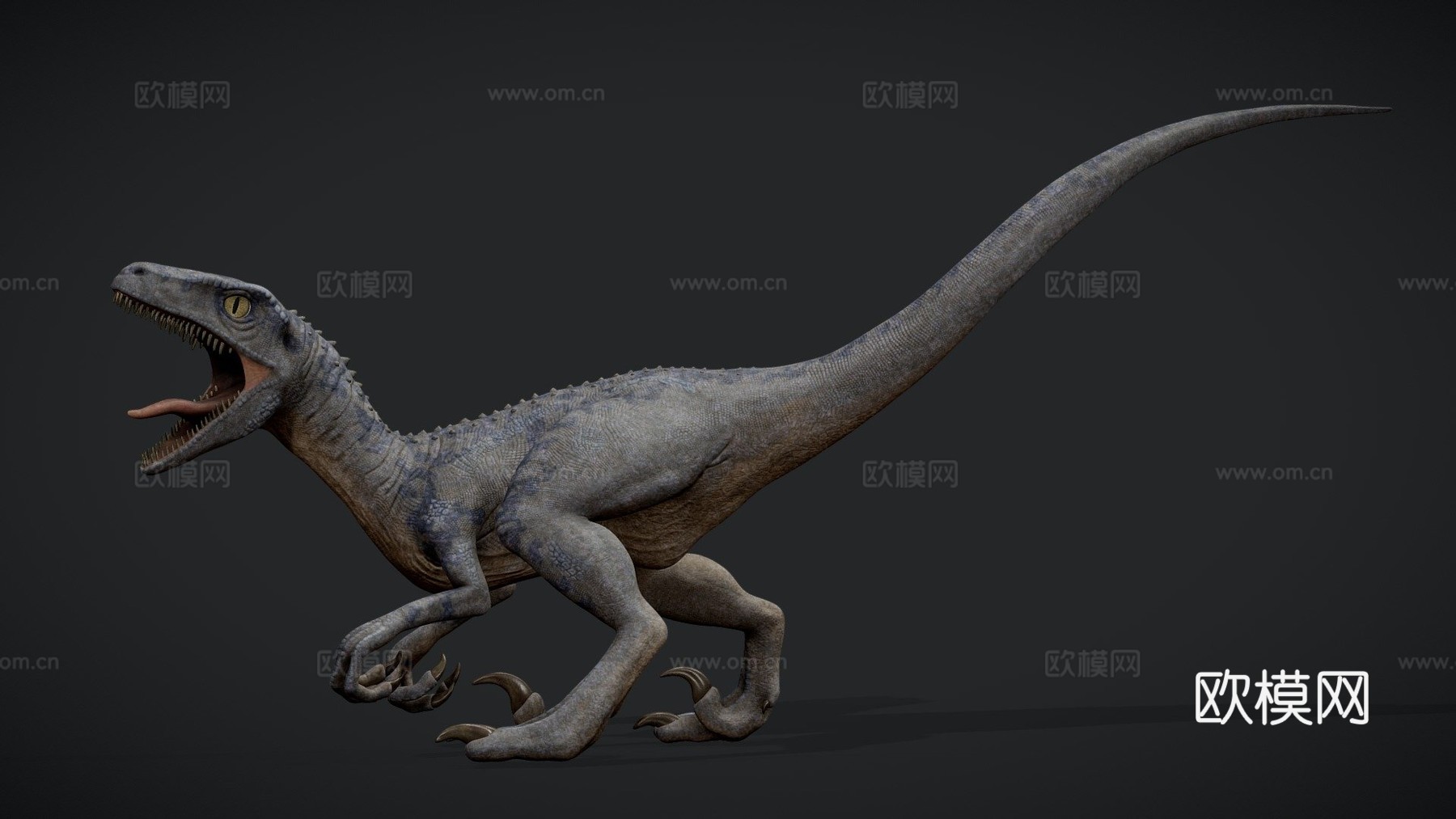 迅猛龙3d模型