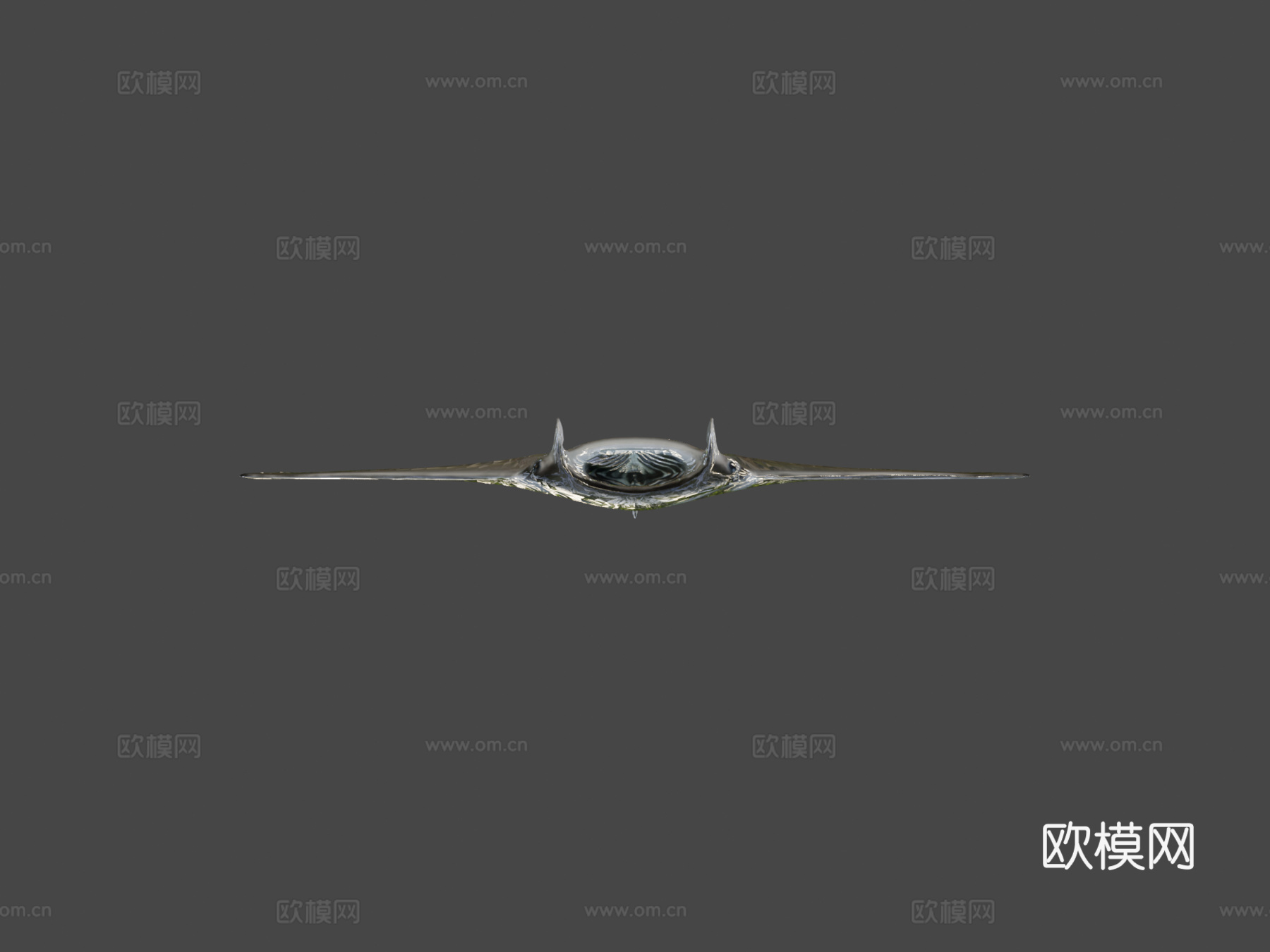 蝠鲼3d模型