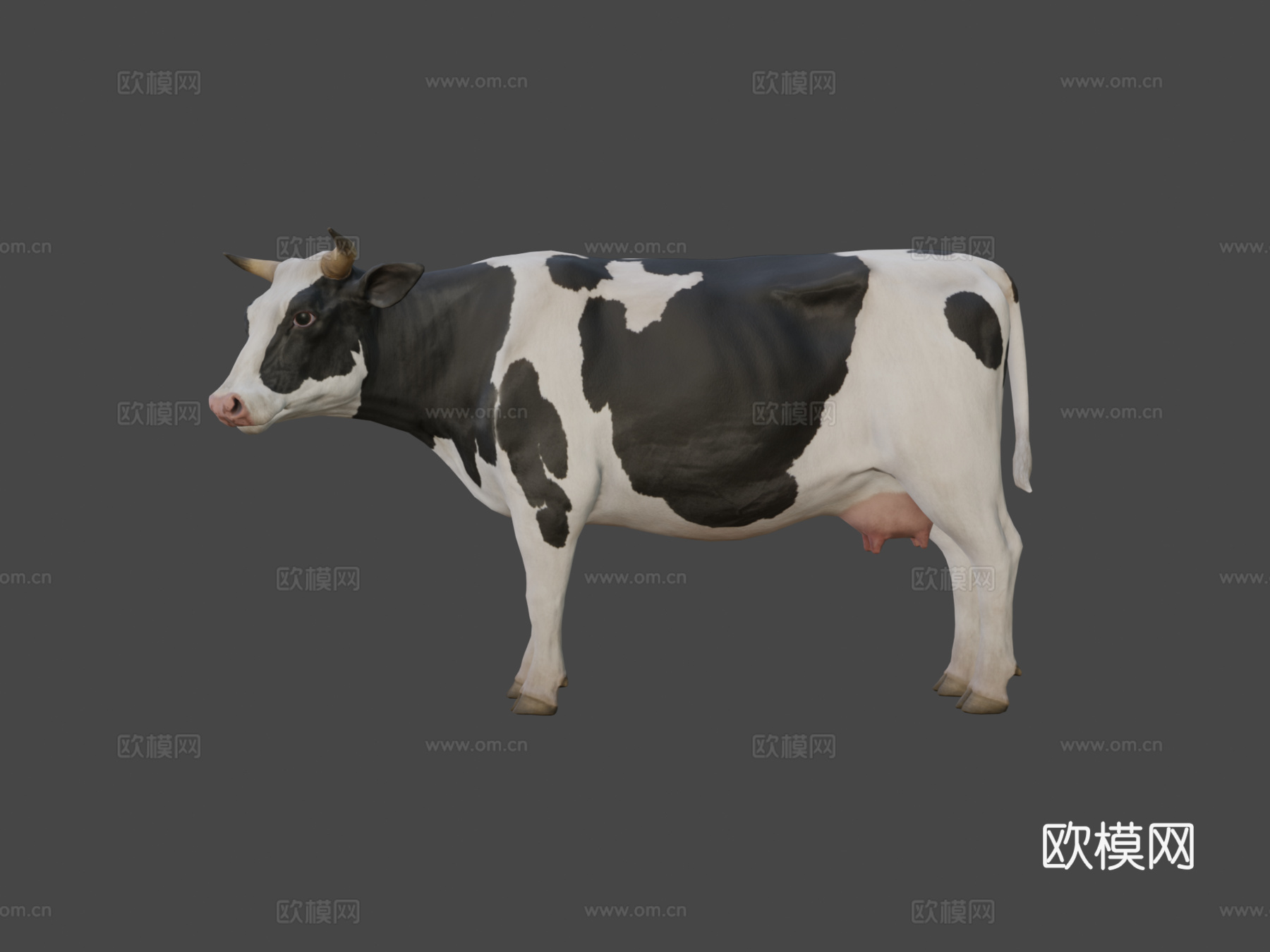 奶牛3d模型