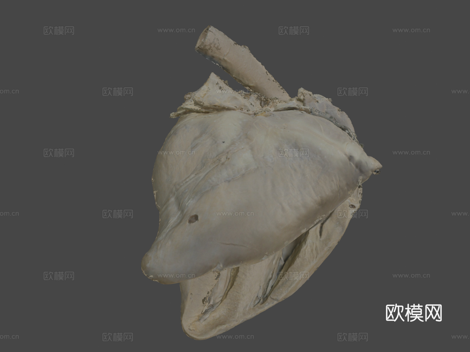 心(核心)马3d模型