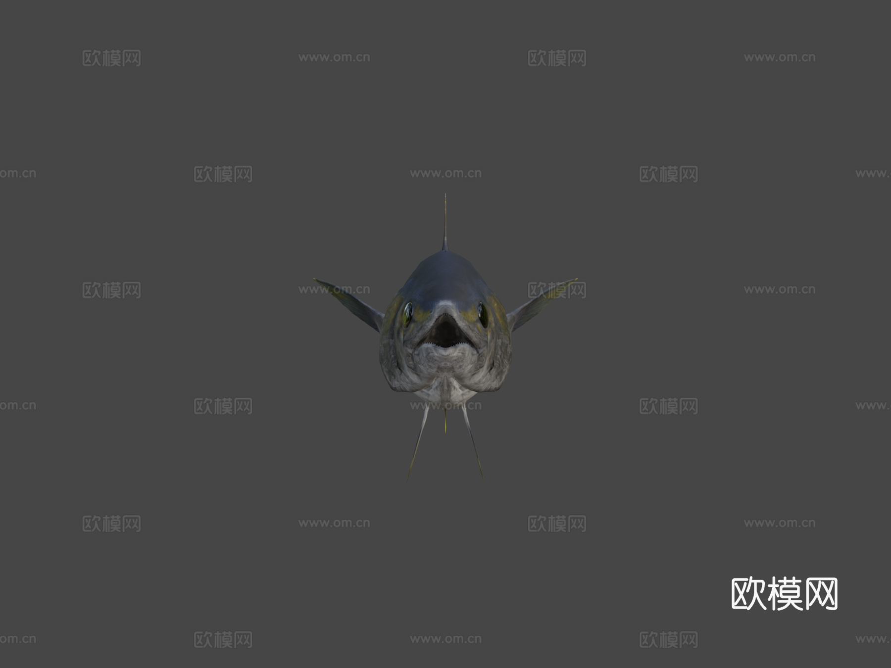 黄鳍金枪鱼3d模型