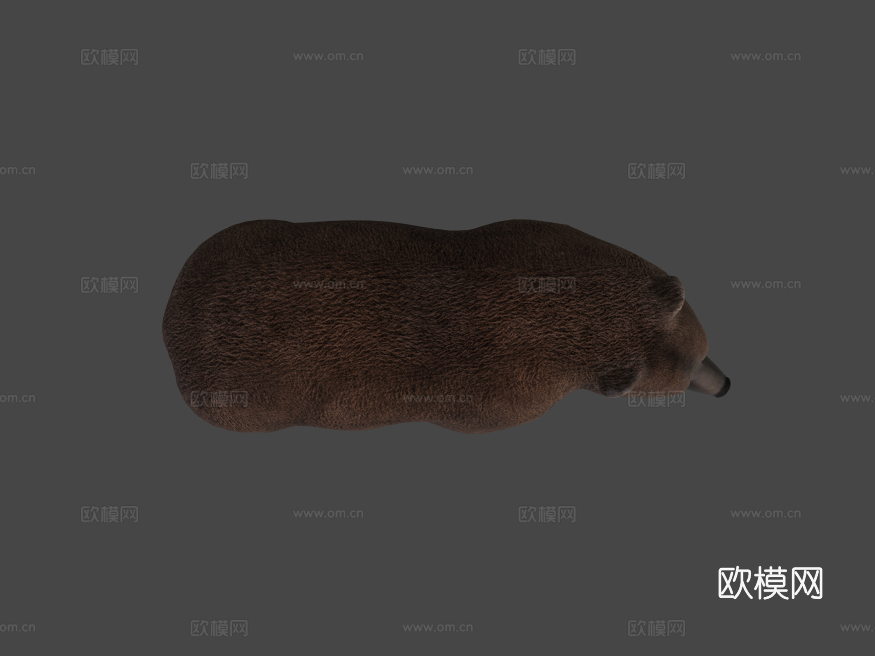熊3d模型