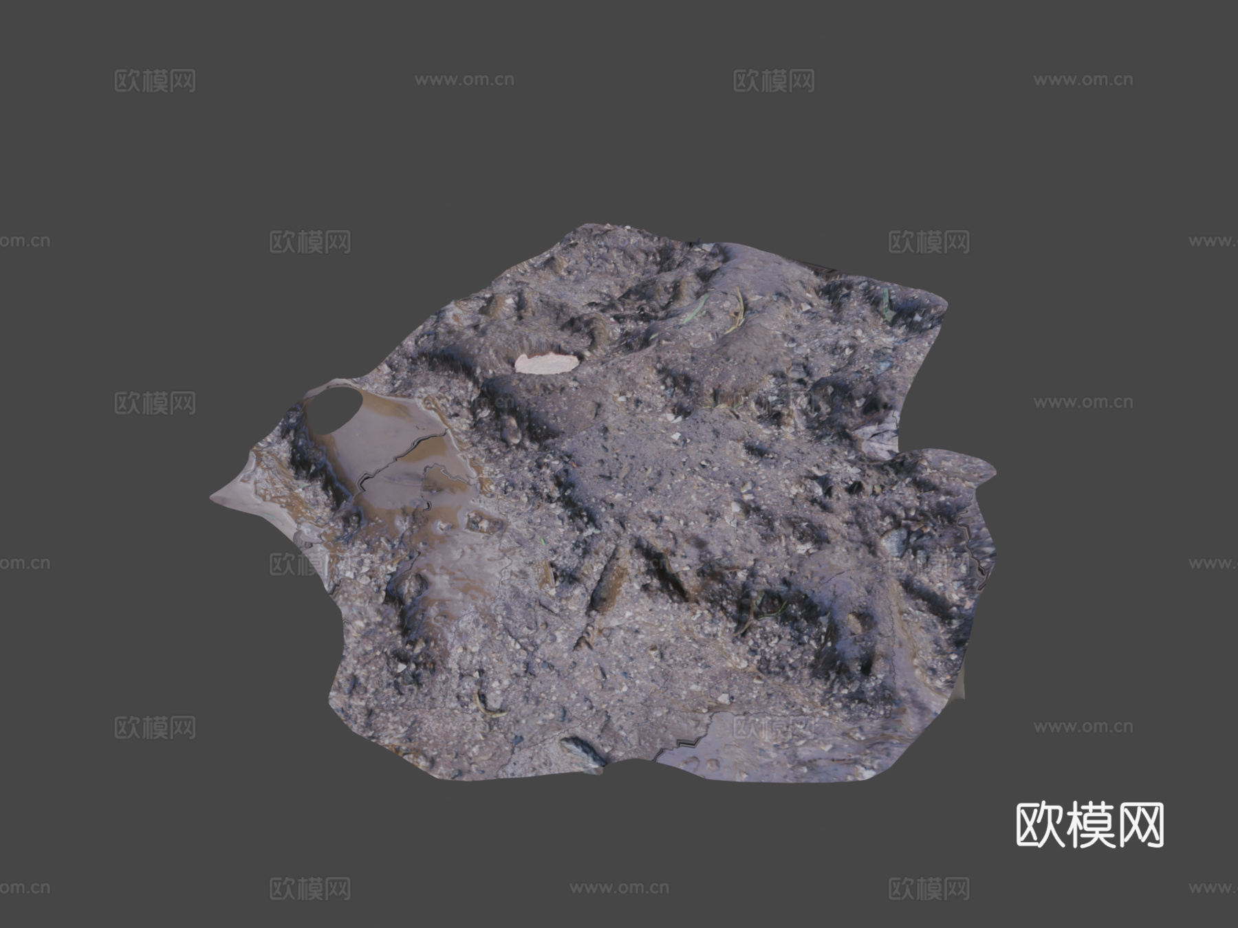 鸟脚印软泥,拉比,威勒尔3d模型