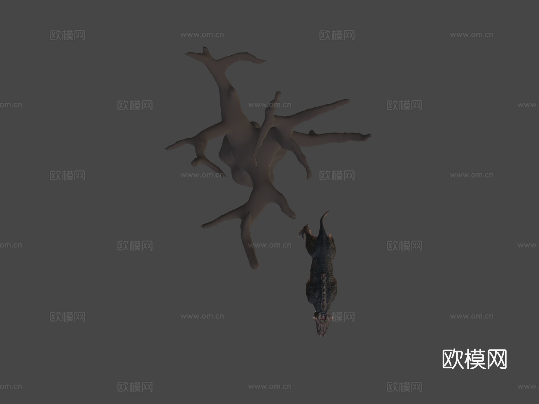 改良大型猫科动物-动画版3d模型