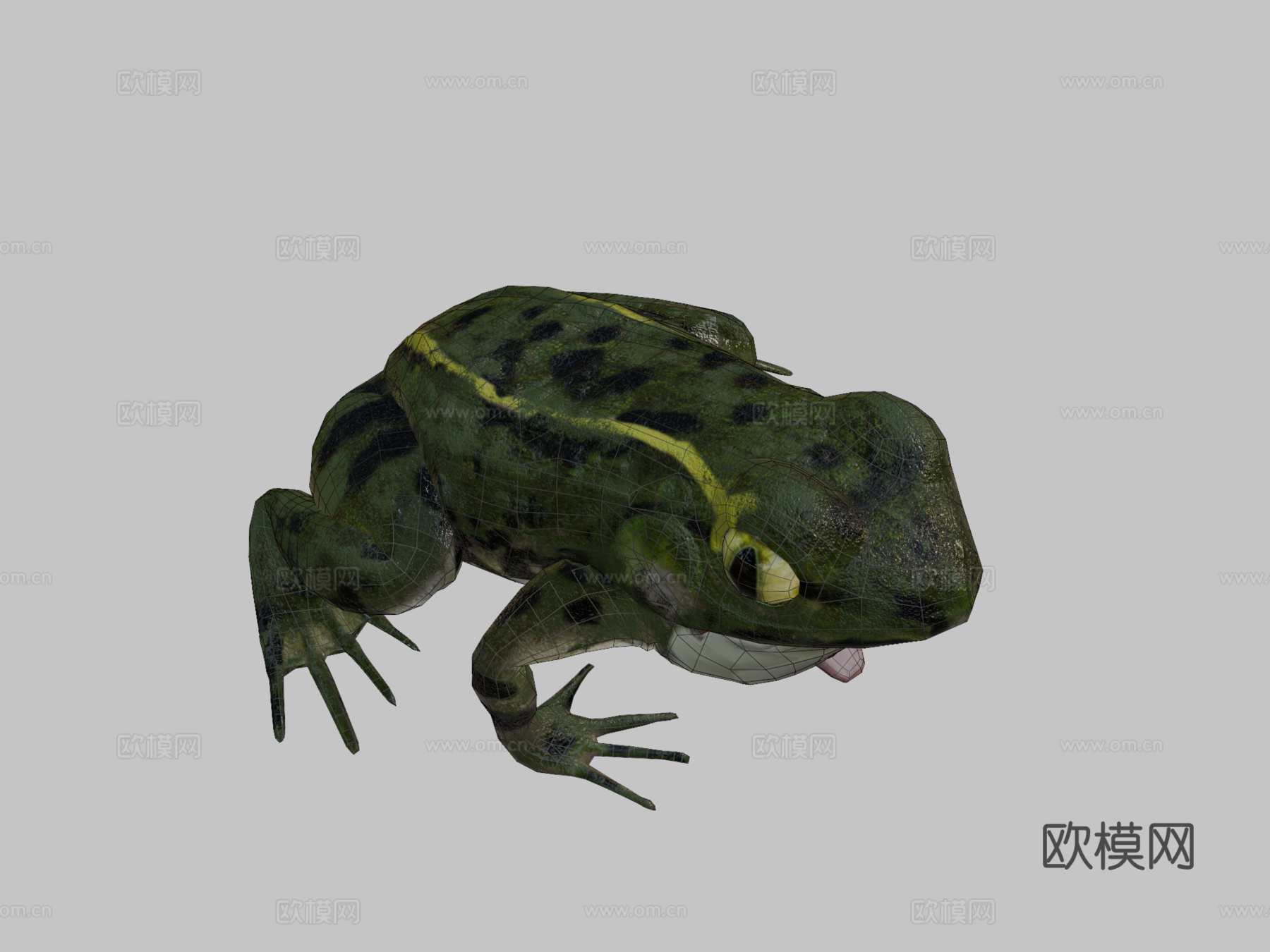 青蛙3d模型
